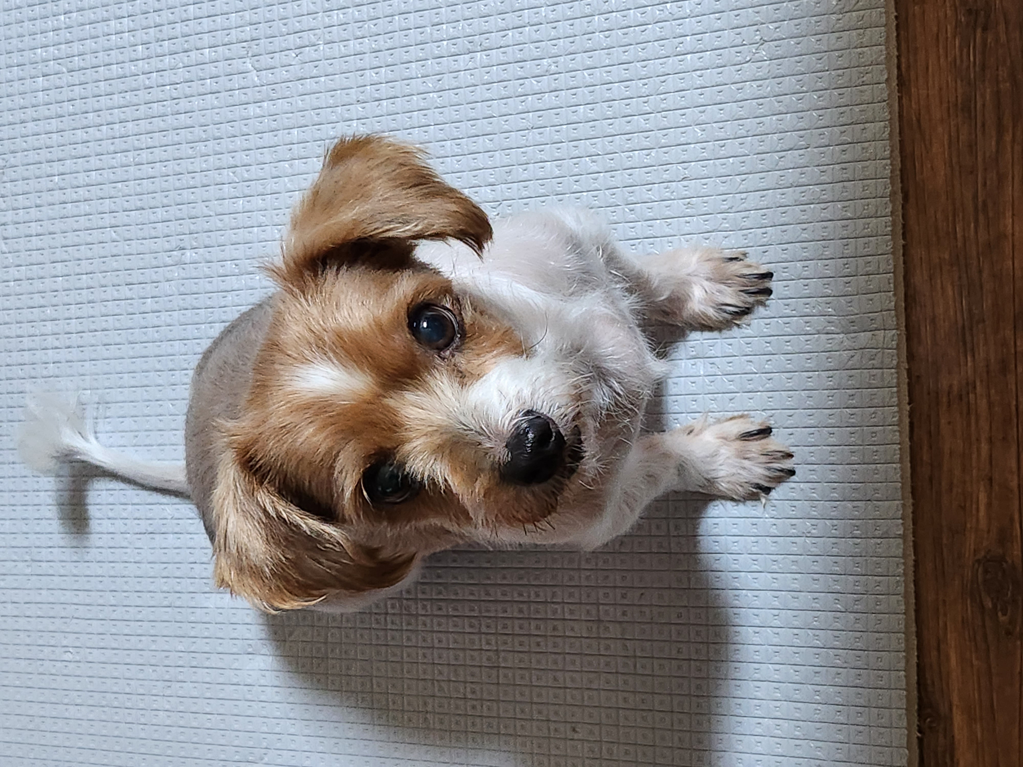 달봉(대금)이 오랜만에 찾아왔어요.