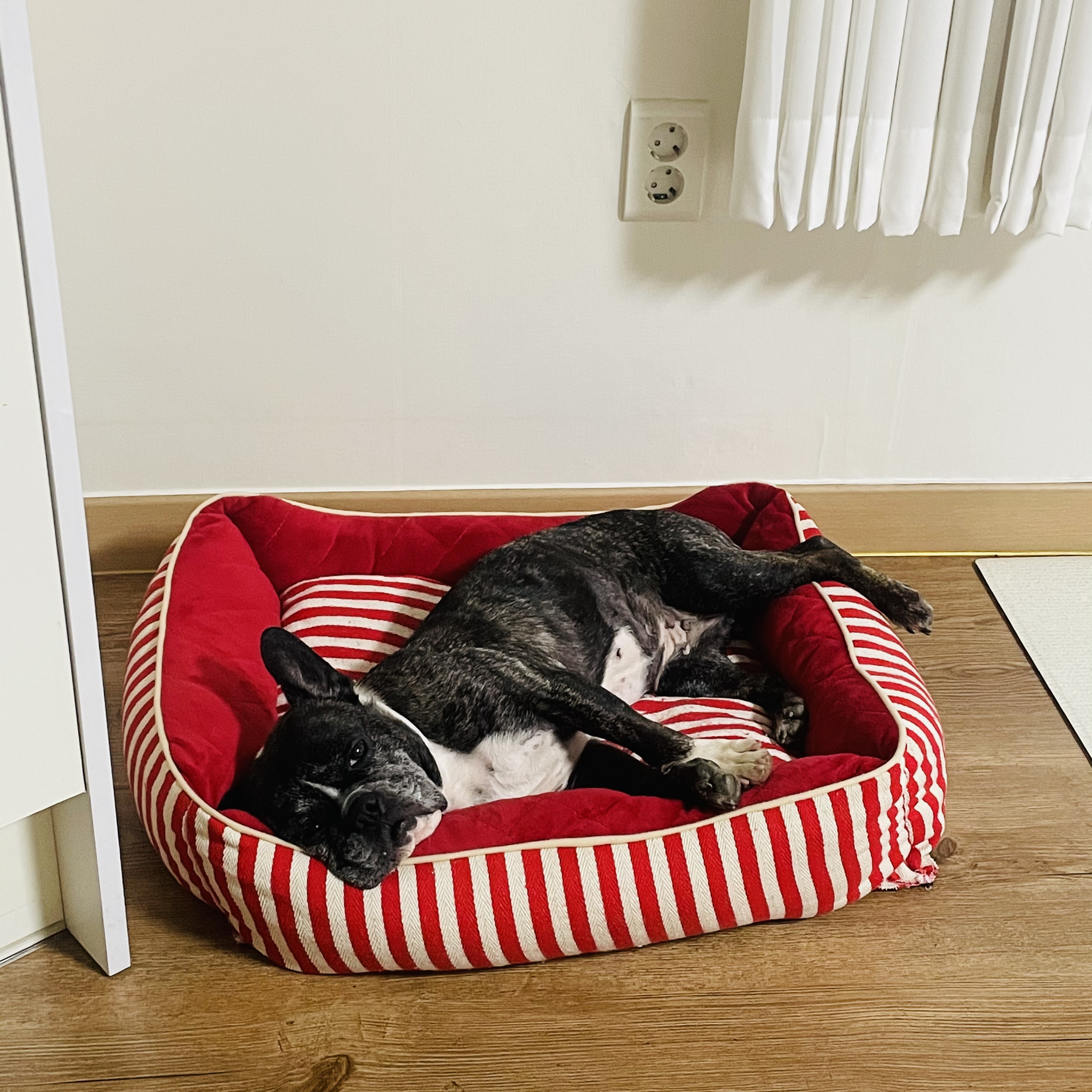 호이 임보 일기