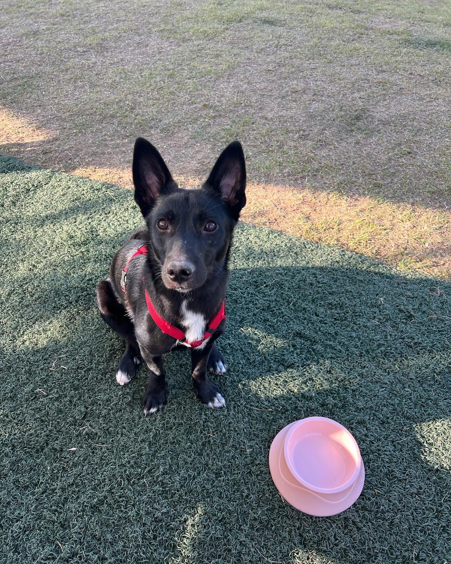 (레드) 밤이 근황