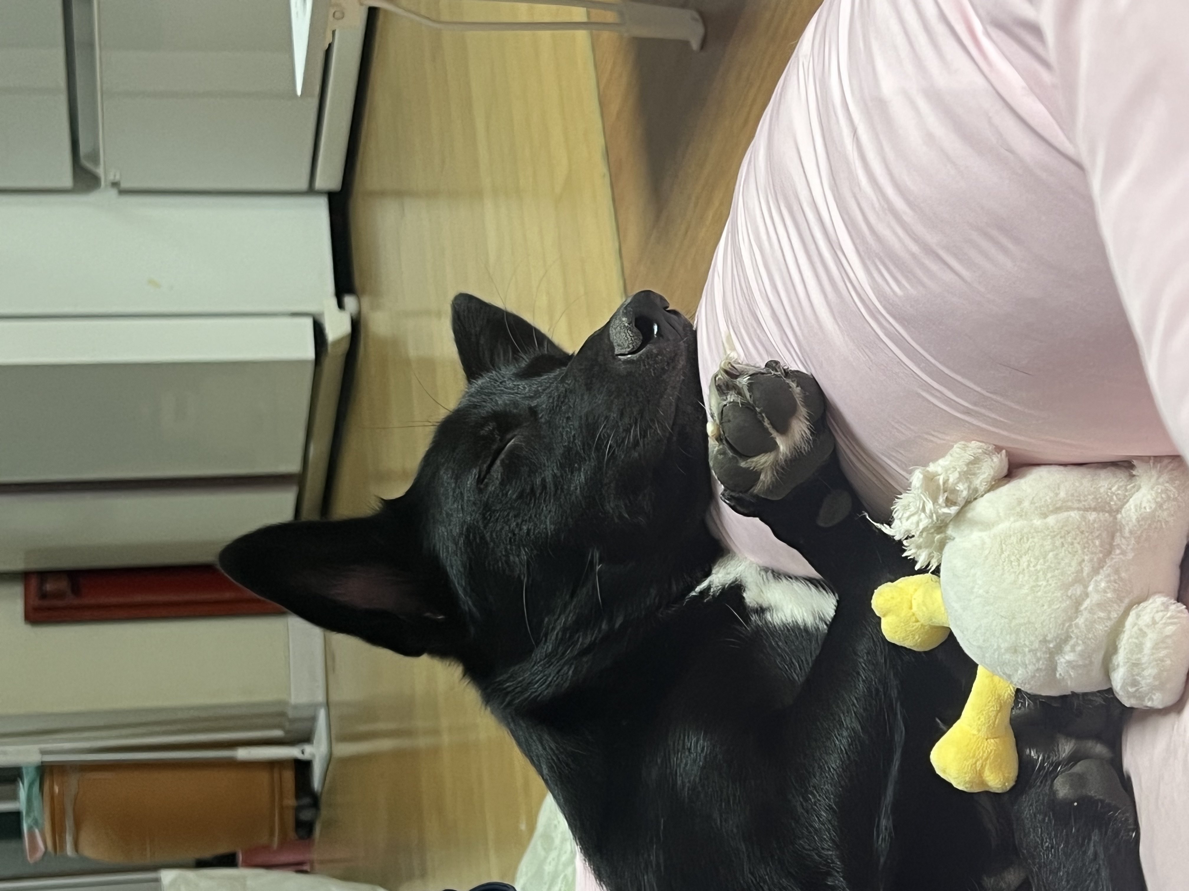 (레드) 밤이 근황