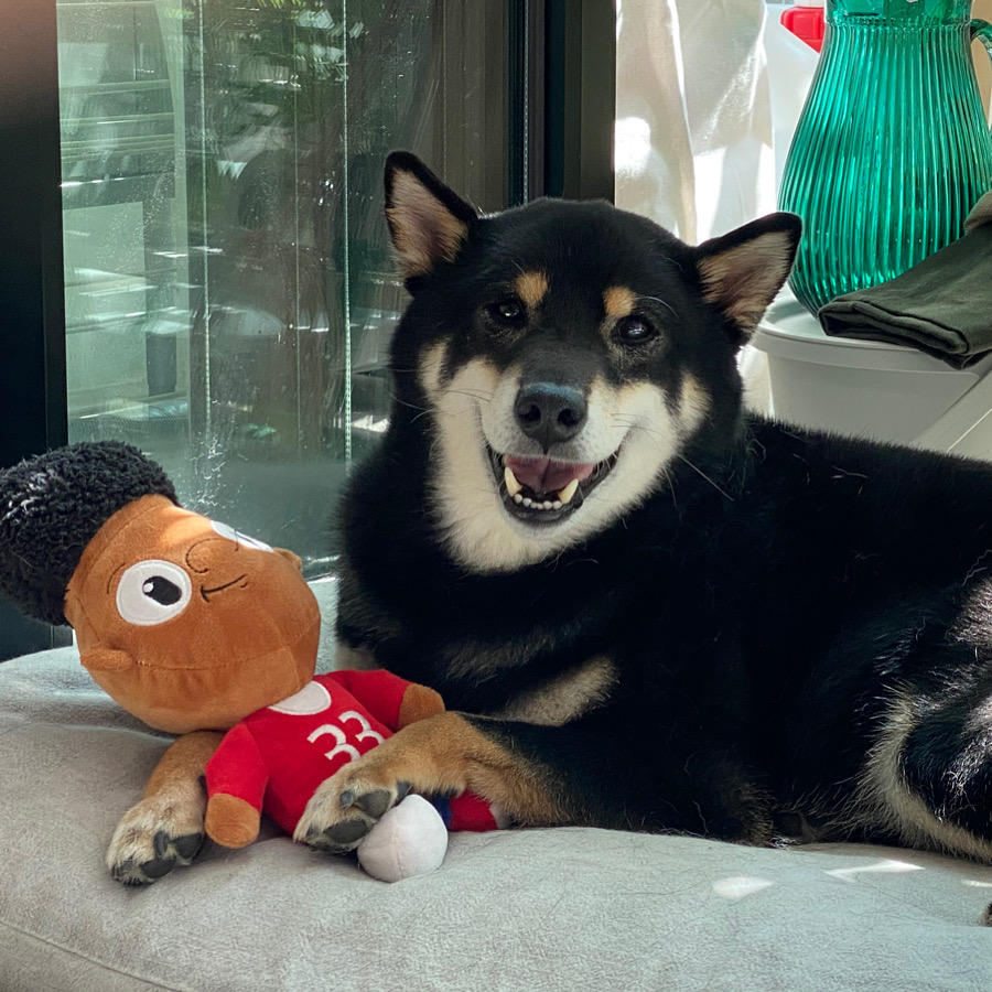 한구(구.마징가) 입양 2주년