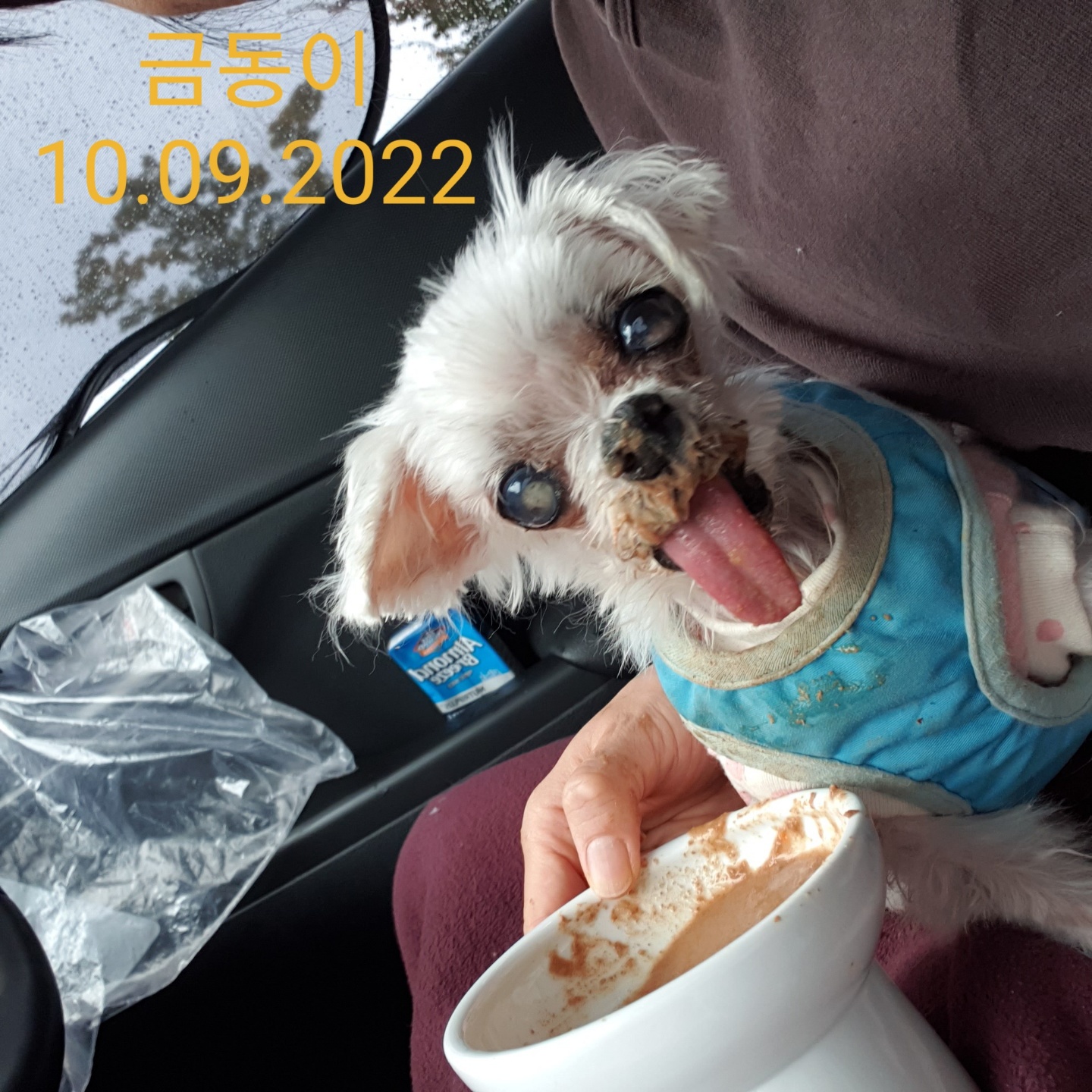 귀여운 금동이는 바다가 되었습니다.