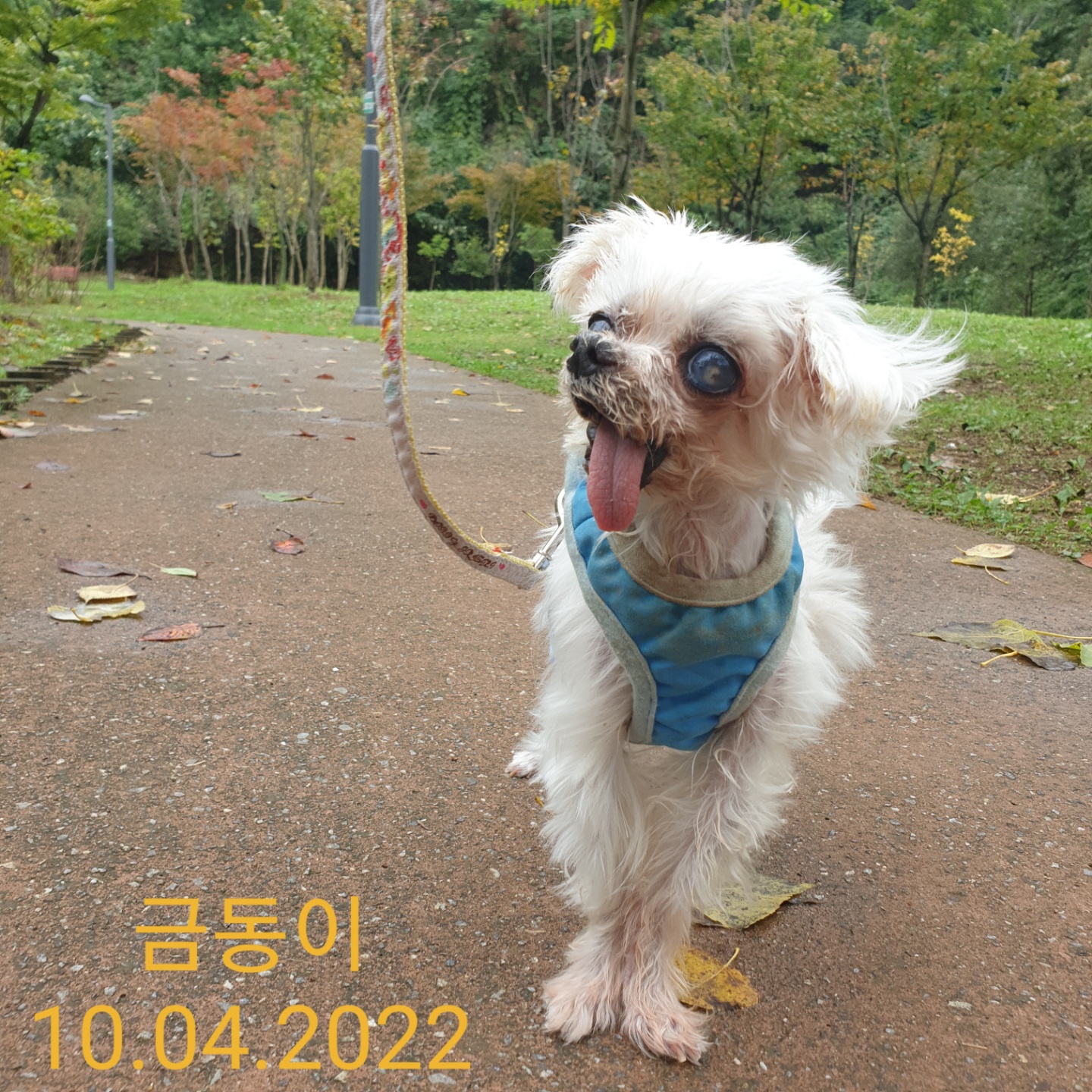 귀여운 금동이는 바다가 되었습니다.