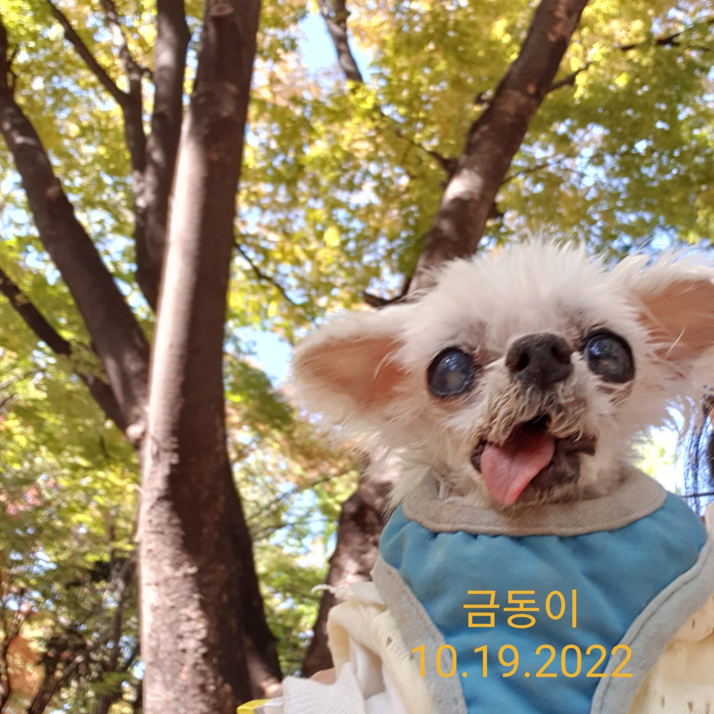 귀여운 금동이는 바다가 되었습니다.