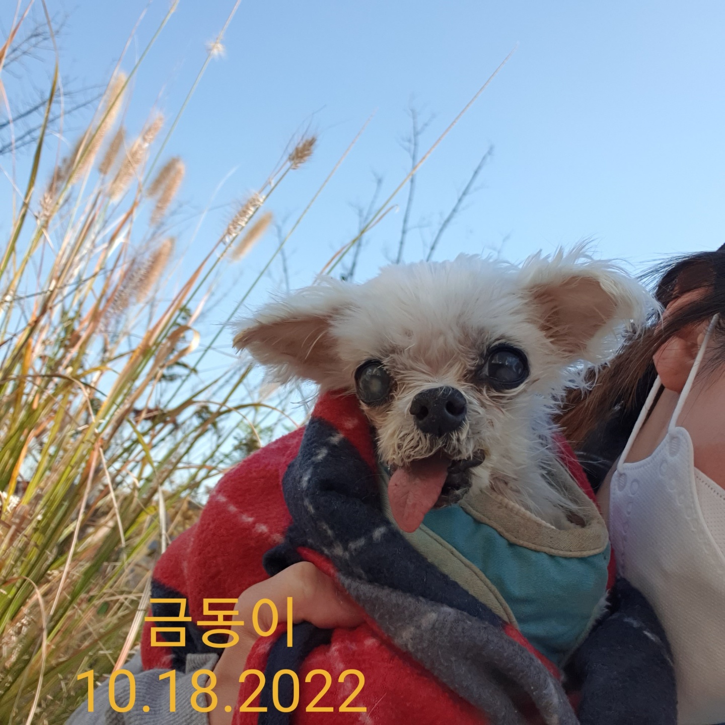 귀여운 금동이는 바다가 되었습니다.