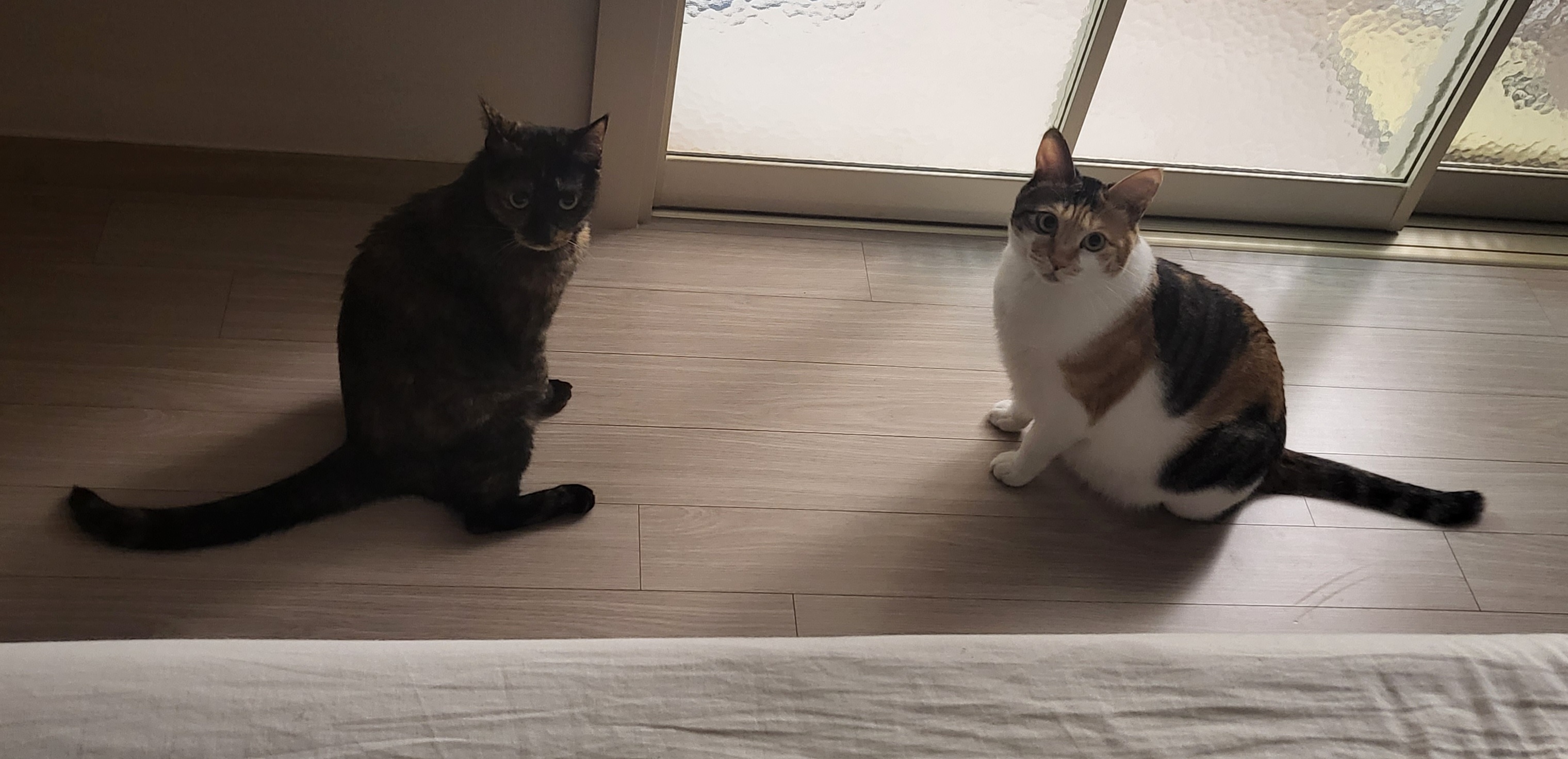 까꿍이 2년 아야기입니다.