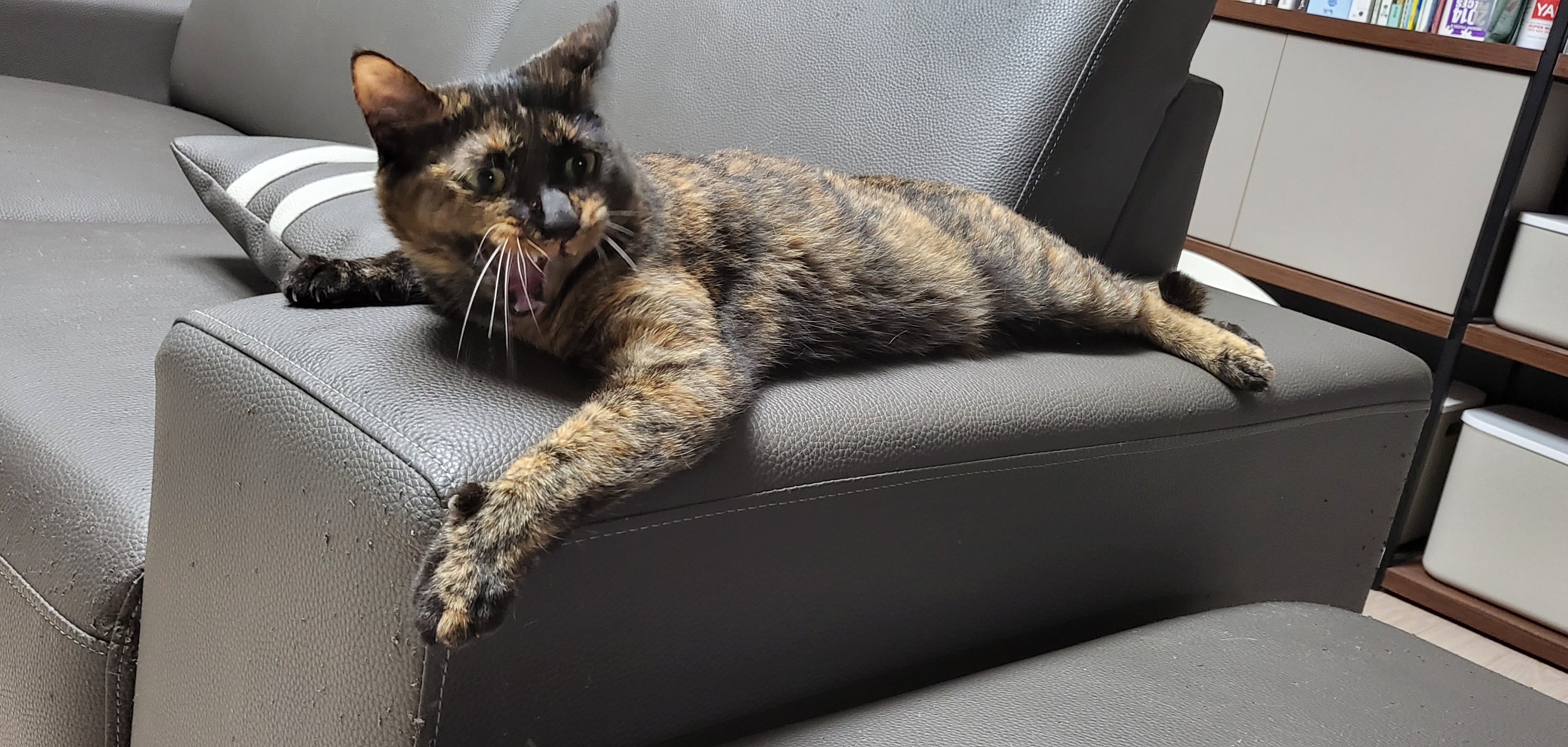 까꿍이 2년 아야기입니다.