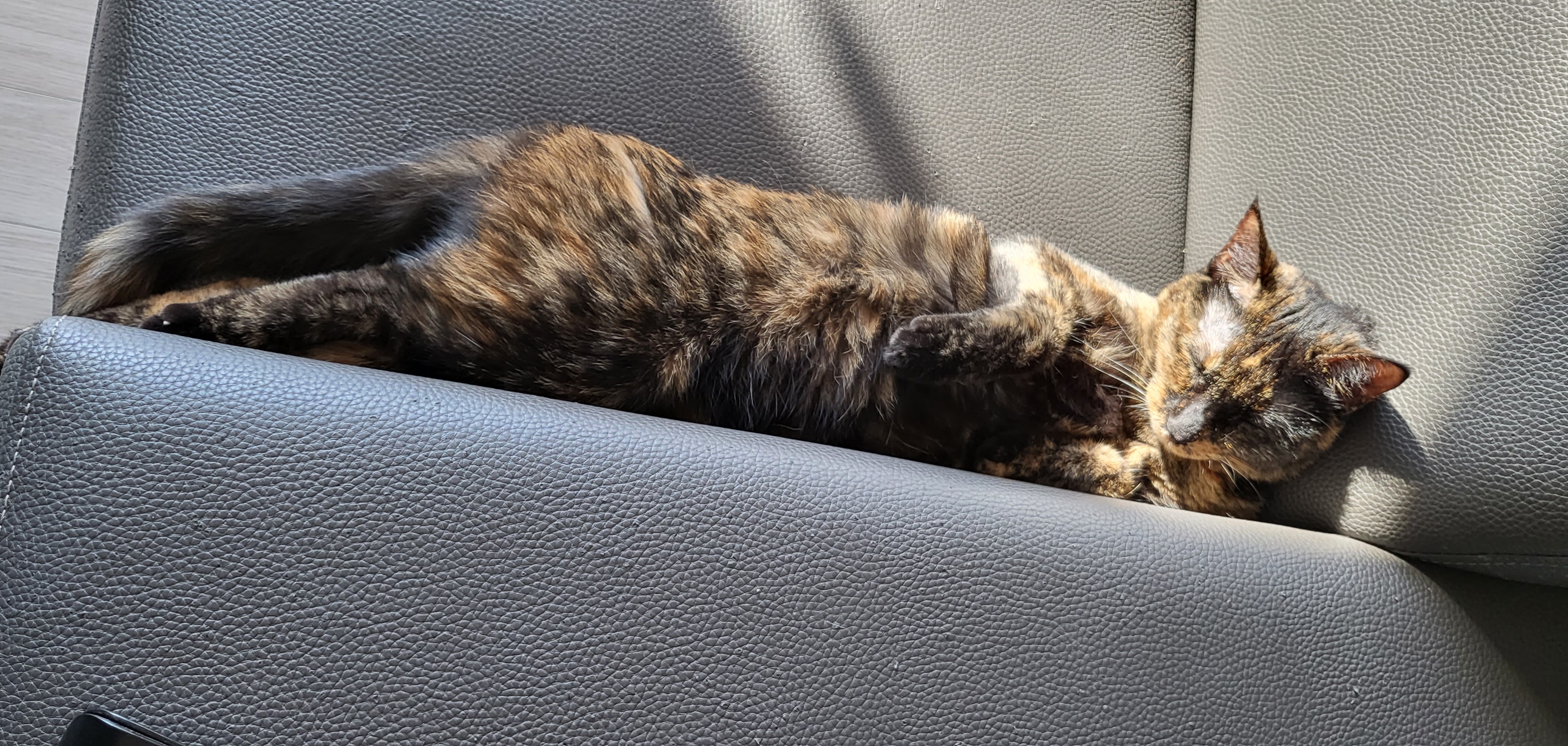 까꿍이 2년 아야기입니다.