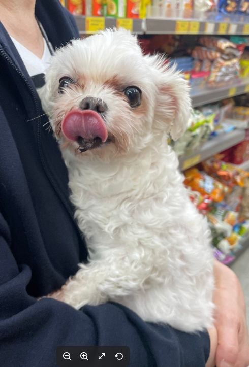 도토리 입양 후 이야기!