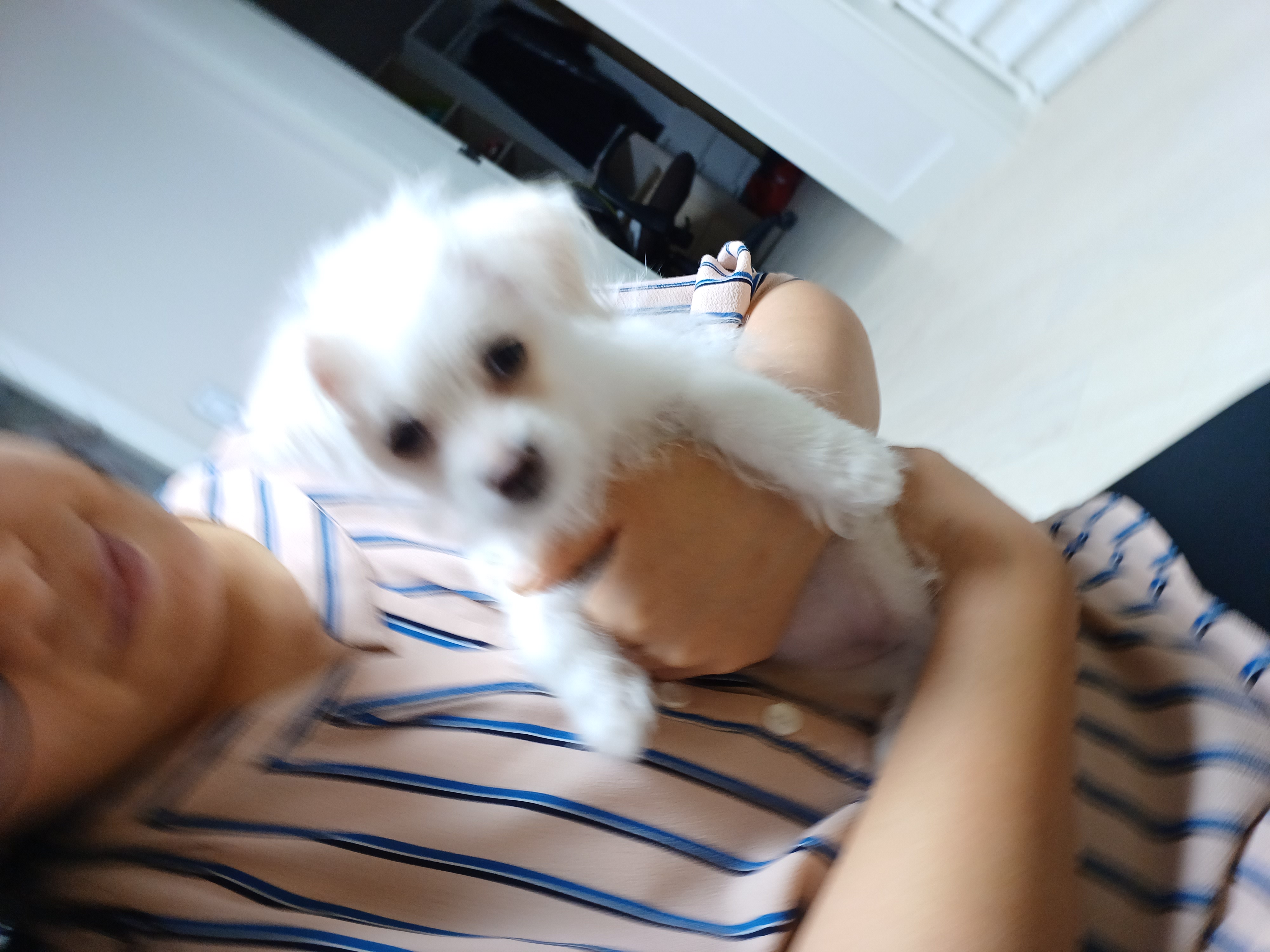 이브(원투) 첫목욕날 입니다.