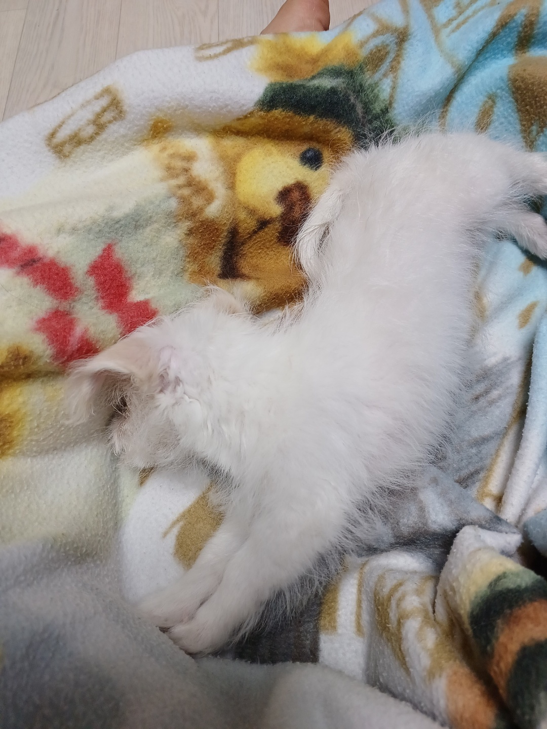 이브(원투) 잘지내고있습니다.