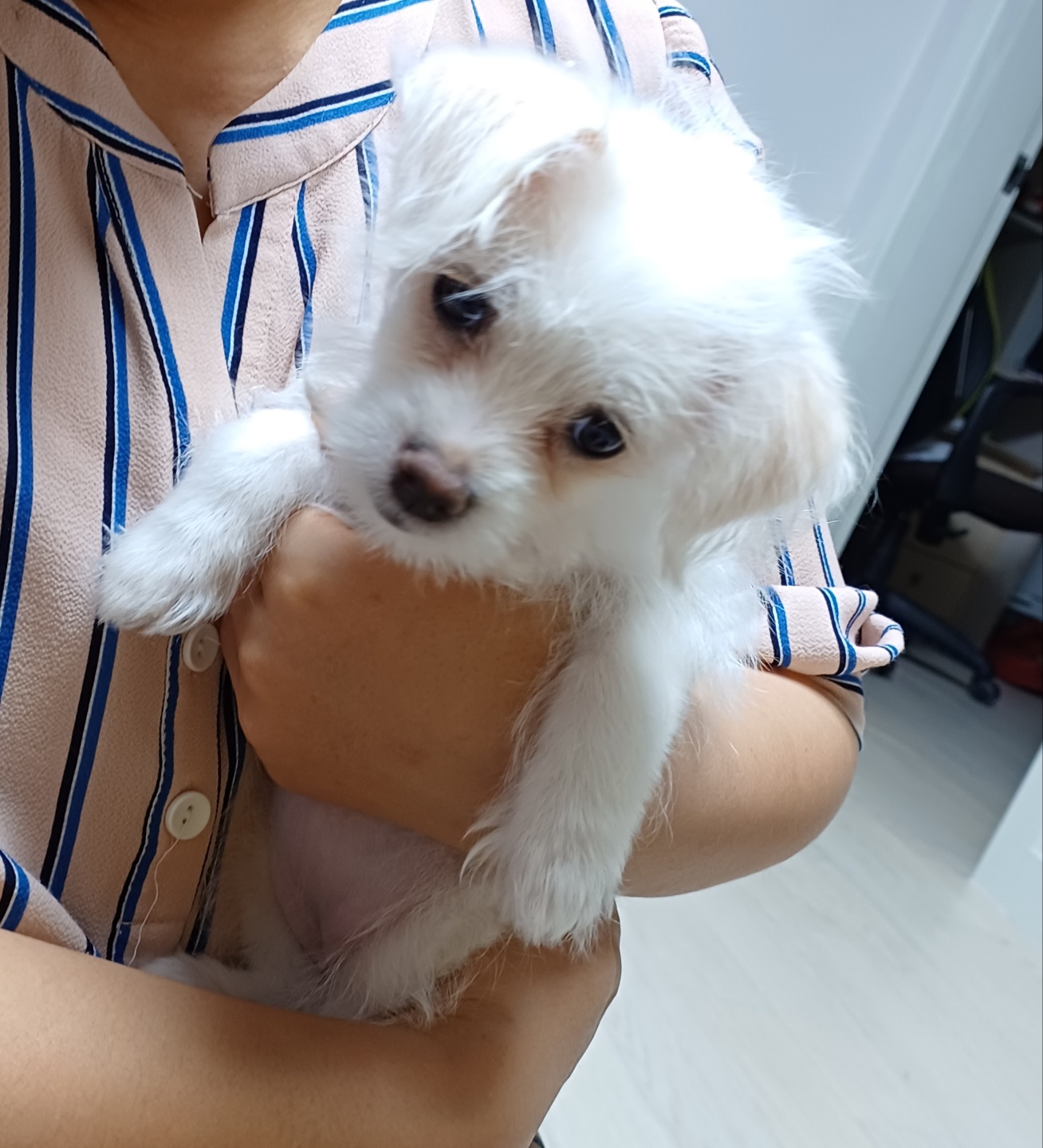 이브(원투) 잘지내고있습니다.