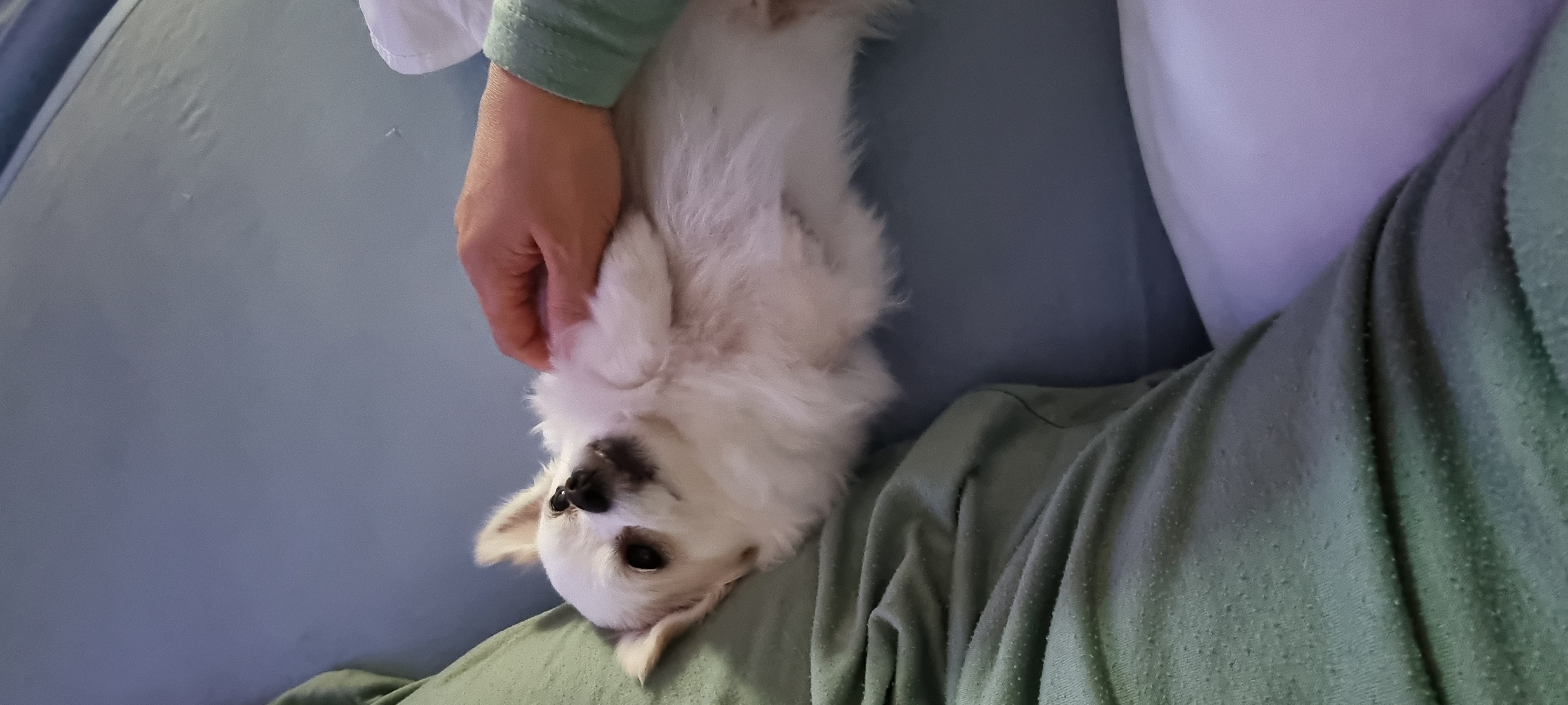 (올리) 3개월 됐어요