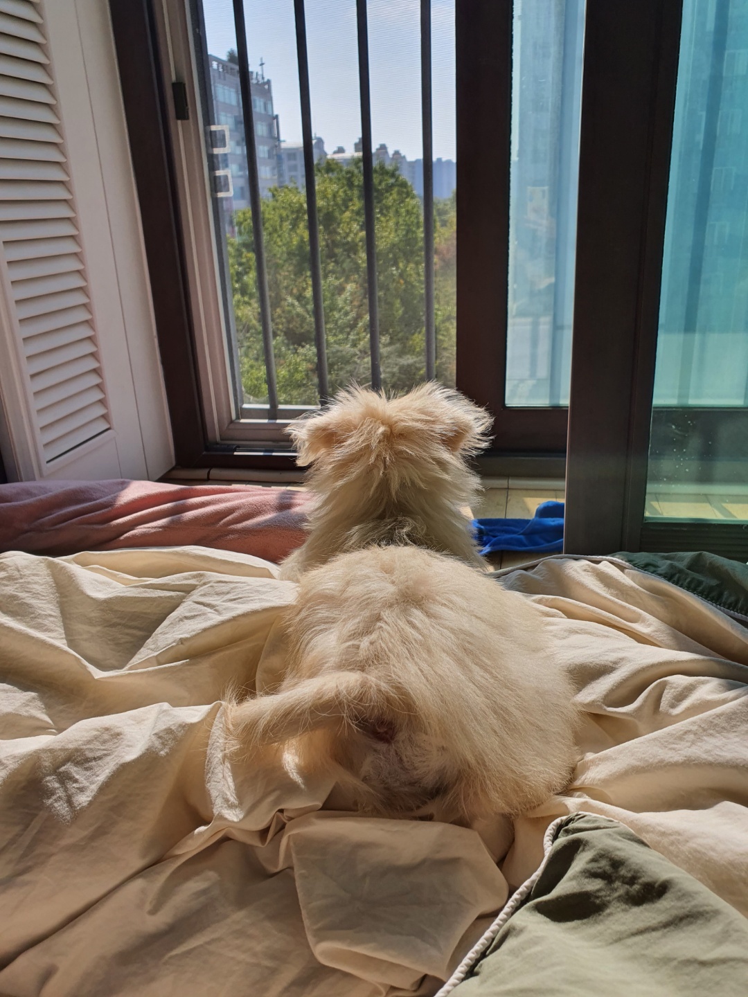 토리(소이)와 가족된 지 한 달이 지났어요!