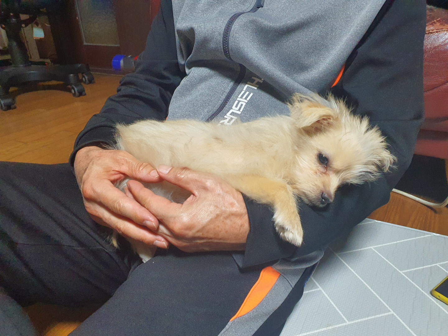 토리(소이)와 가족된 지 한 달이 지났어요!