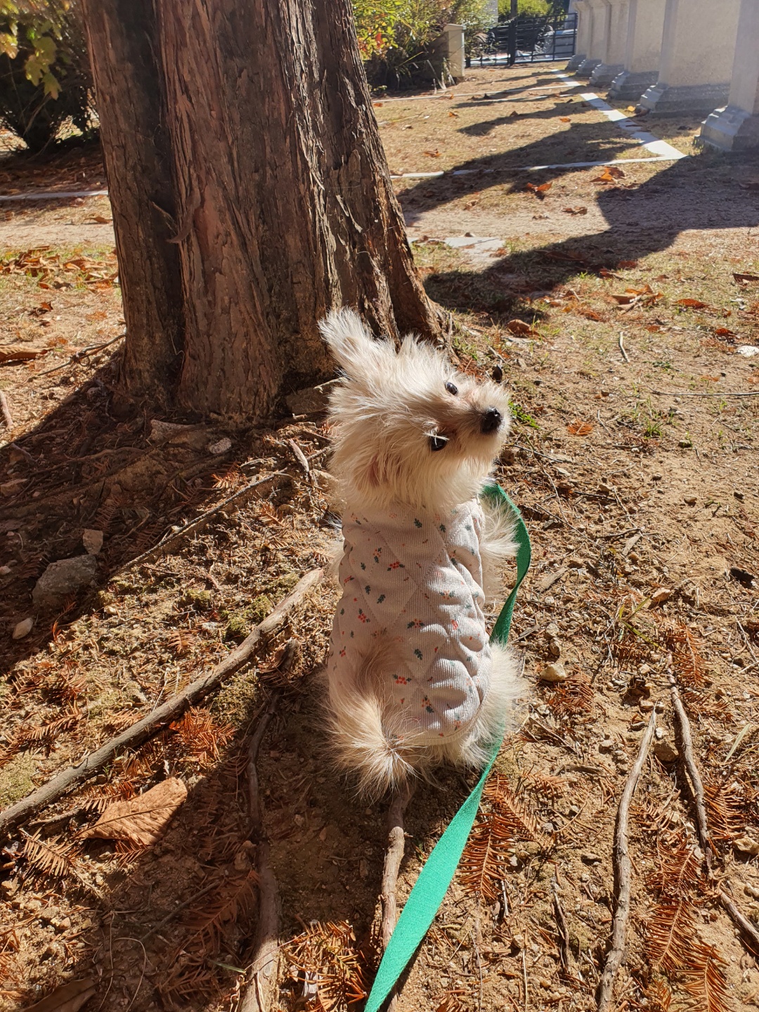토리(소이)와 가족된 지 한 달이 지났어요!