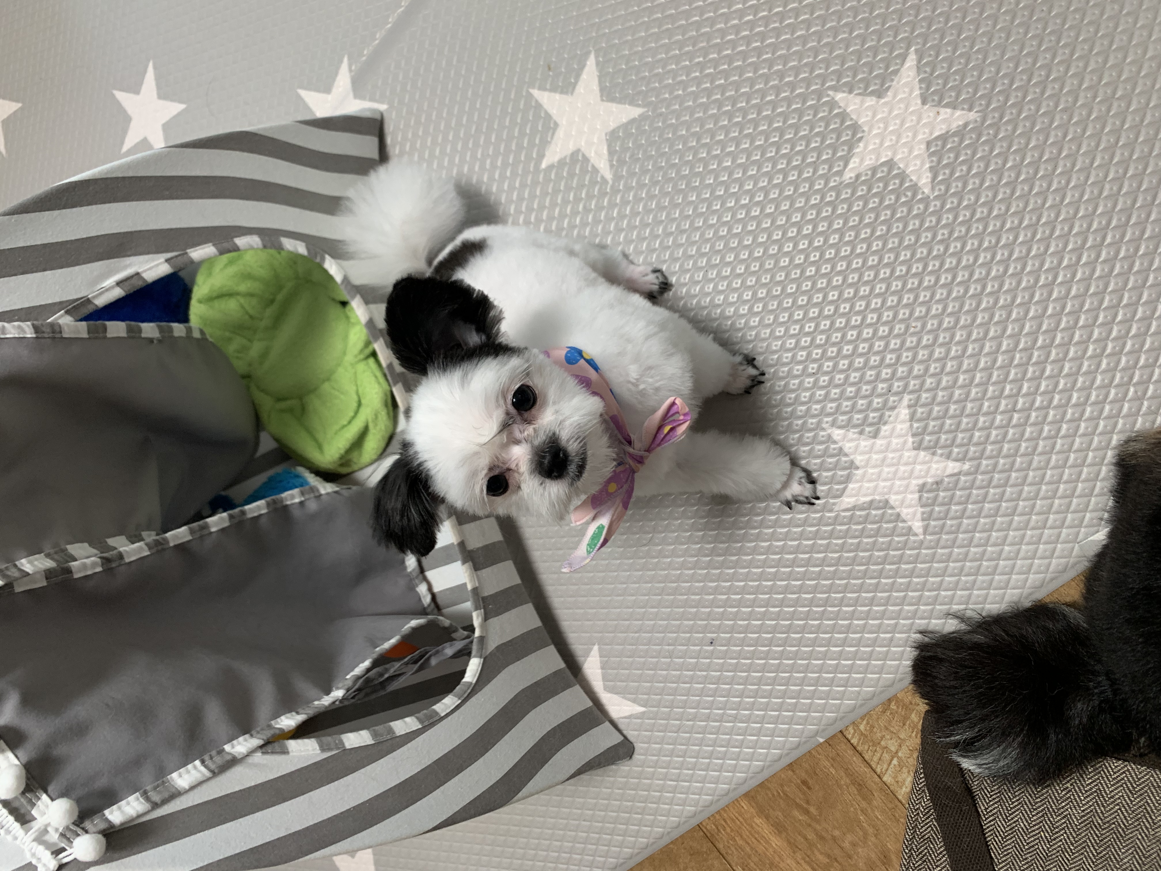 갈래 잘 지내고 있어요~~