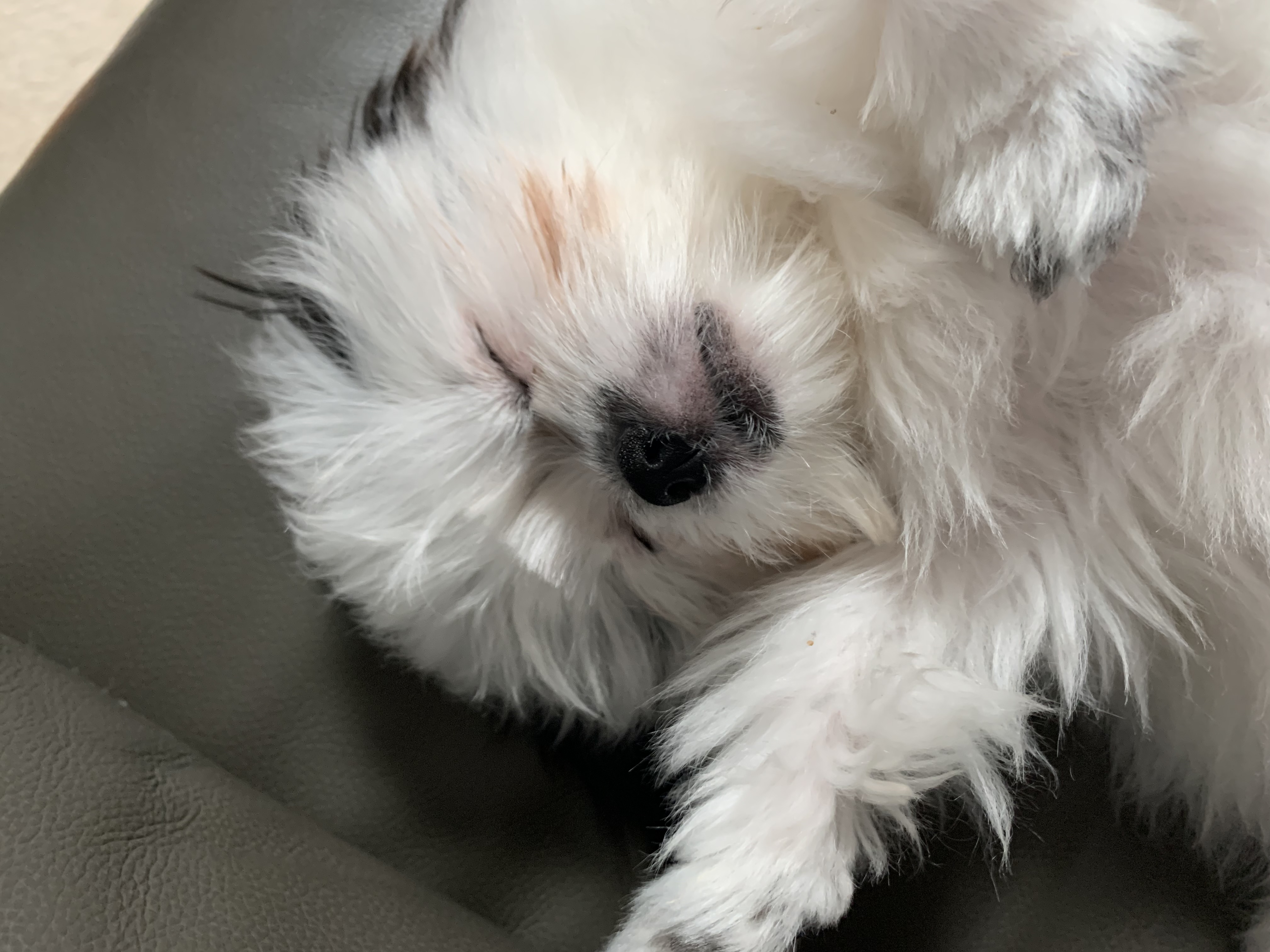 갈래 잘 지내고 있어요~~