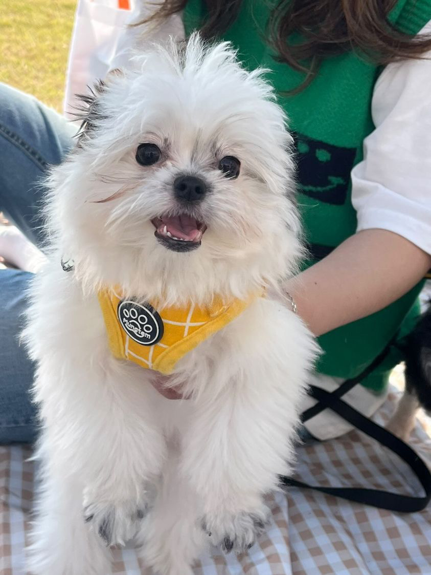 갈래 잘 지내고 있어요~~