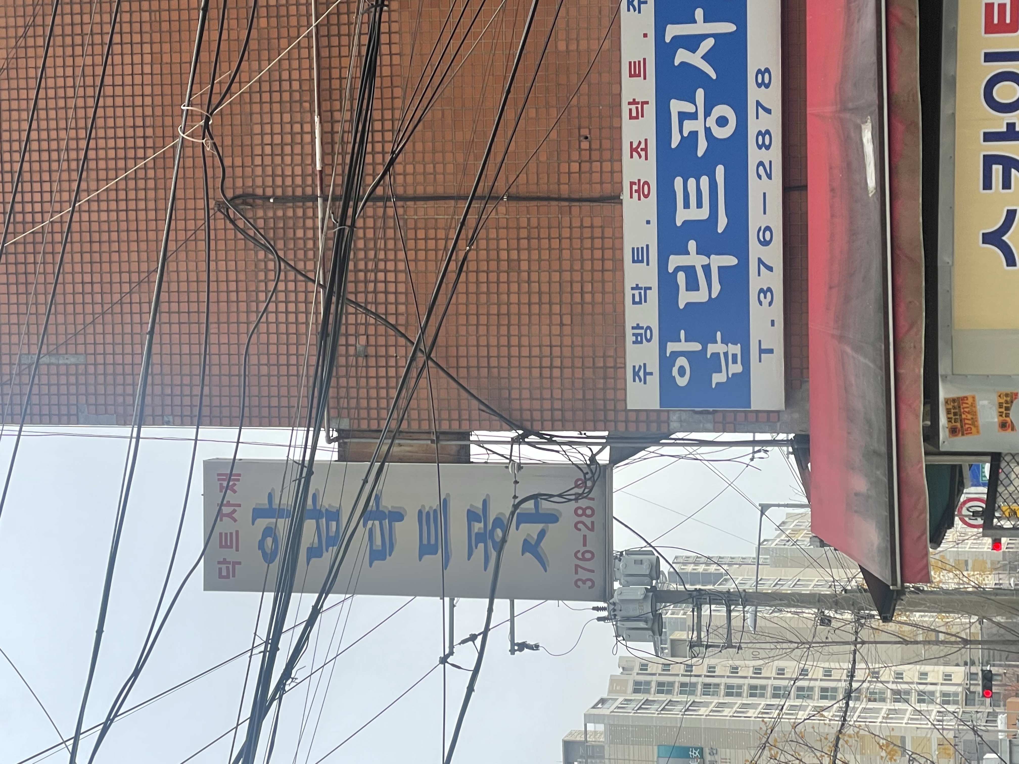 작은집에 두 진돗개를 가둬두고 학대하고 있습니다