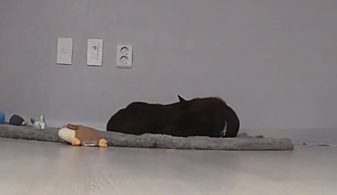 반달이 두번째날 우리사이 거리 30센치