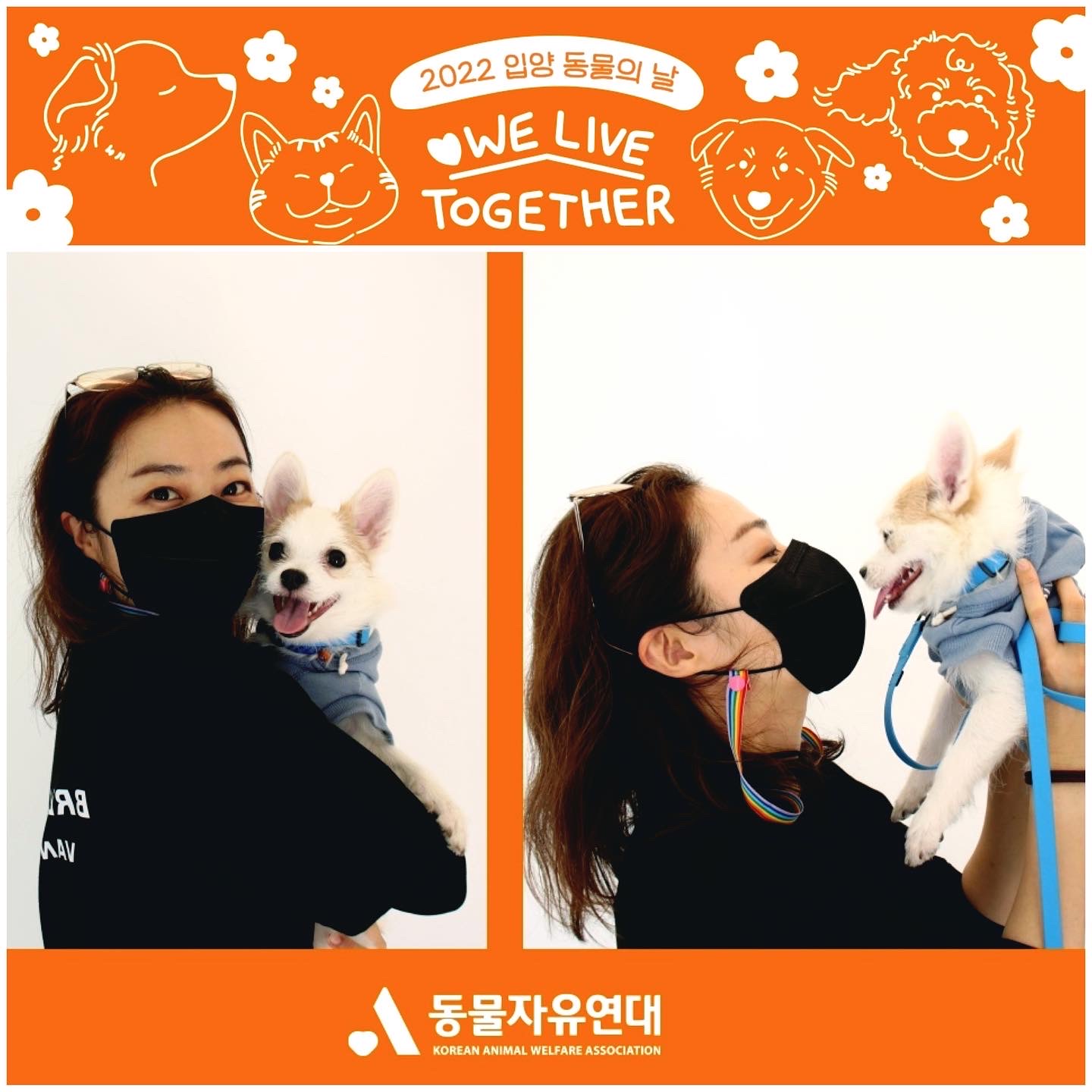 버터(쿠나) 임보 후 입양후기