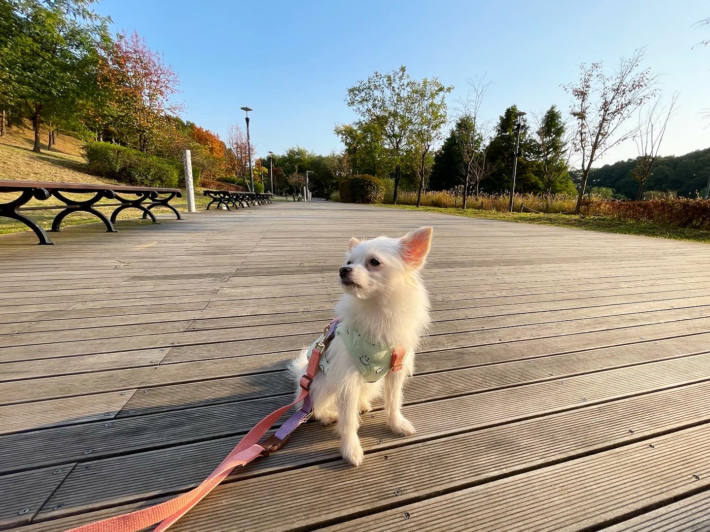 (바나)하리 근황이에요^^