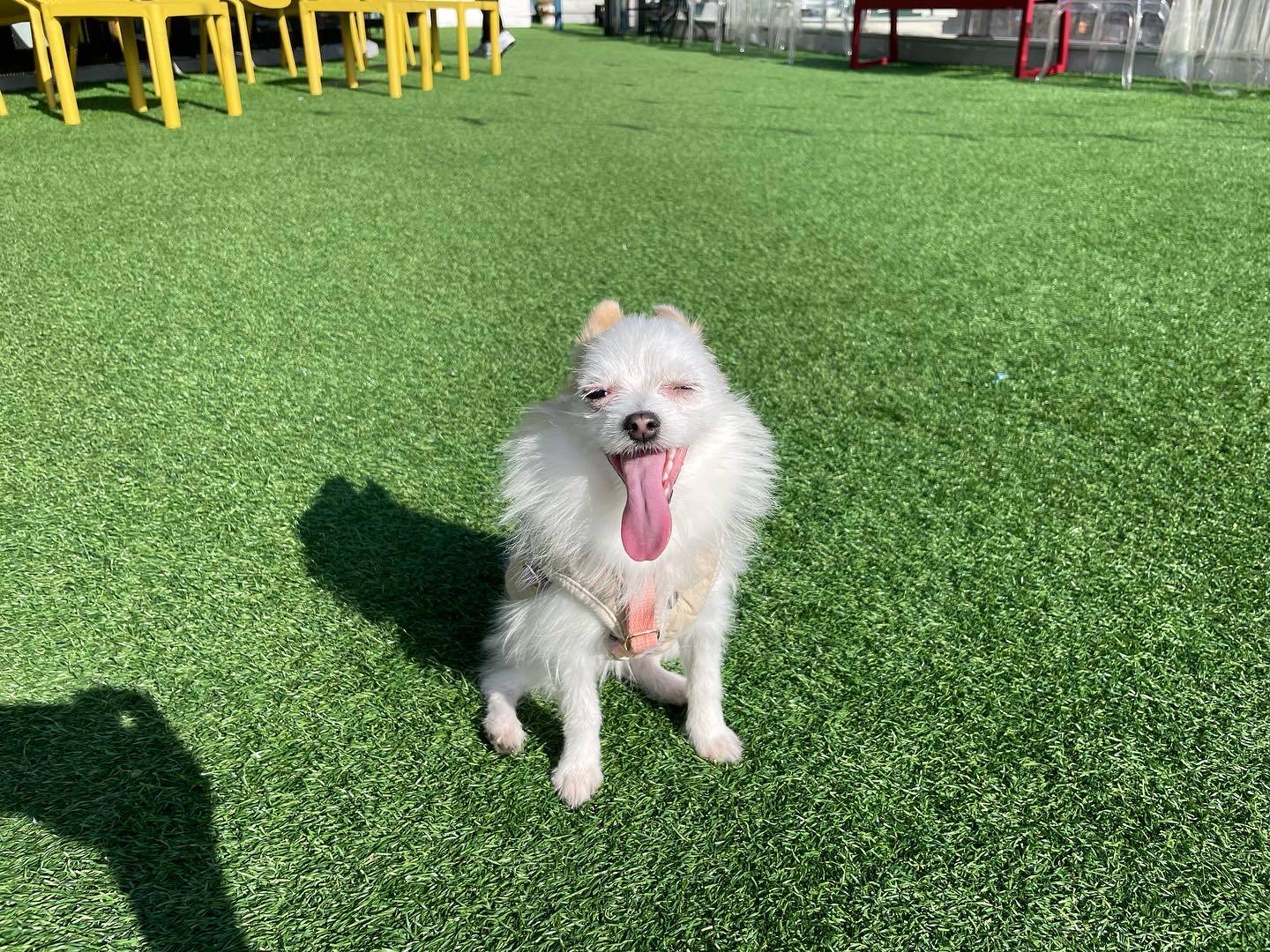 (바나)하리 근황이에요^^