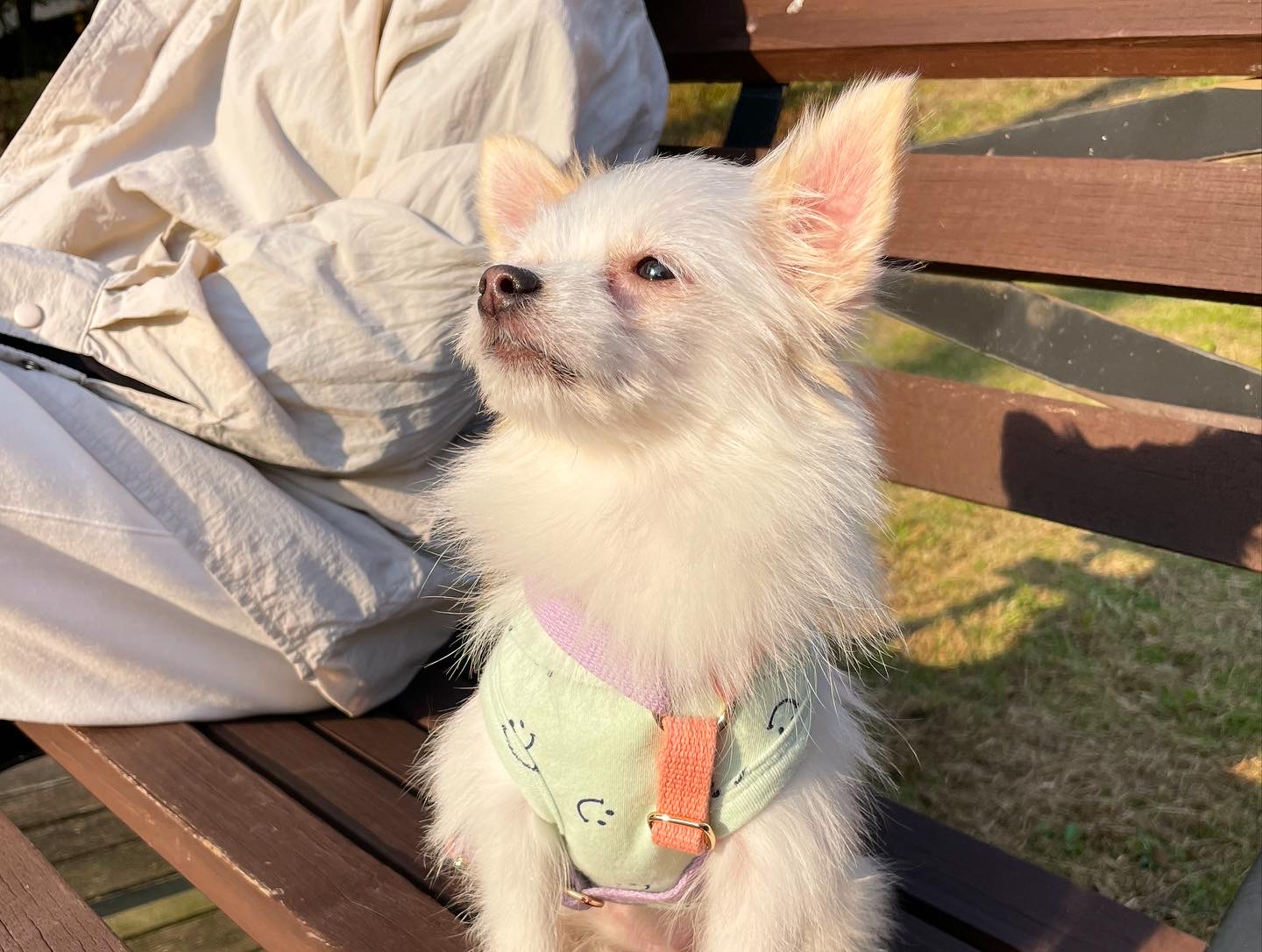 (바나)하리 근황이에요^^