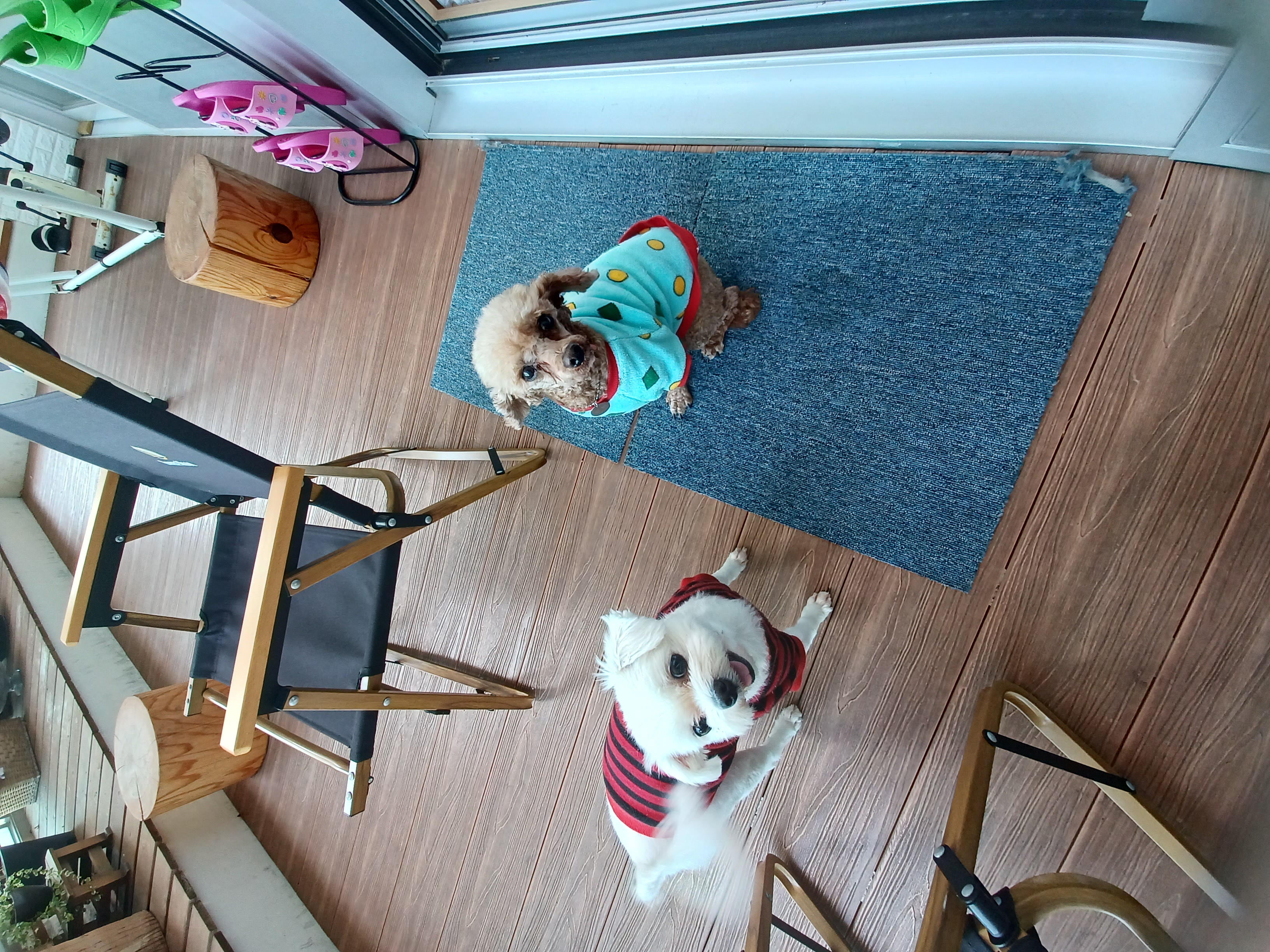 퐁듀(현ㆍ뽀비)부산에서 소식전해요♡