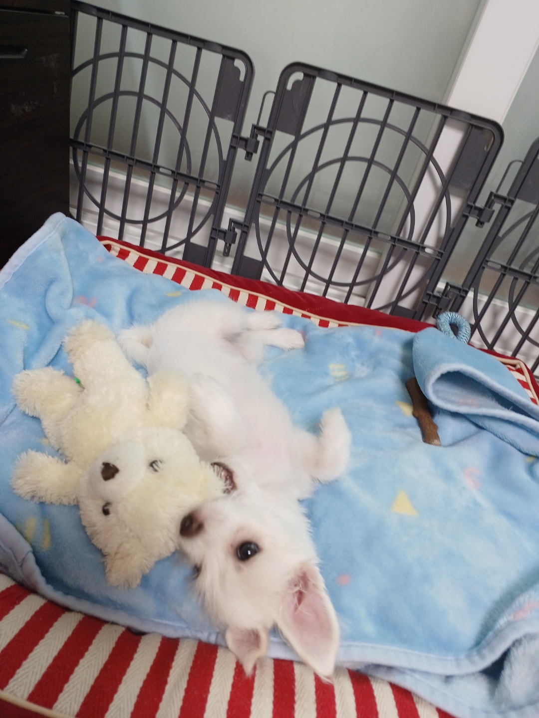 이브(원투) 잘 지내고있습니다.