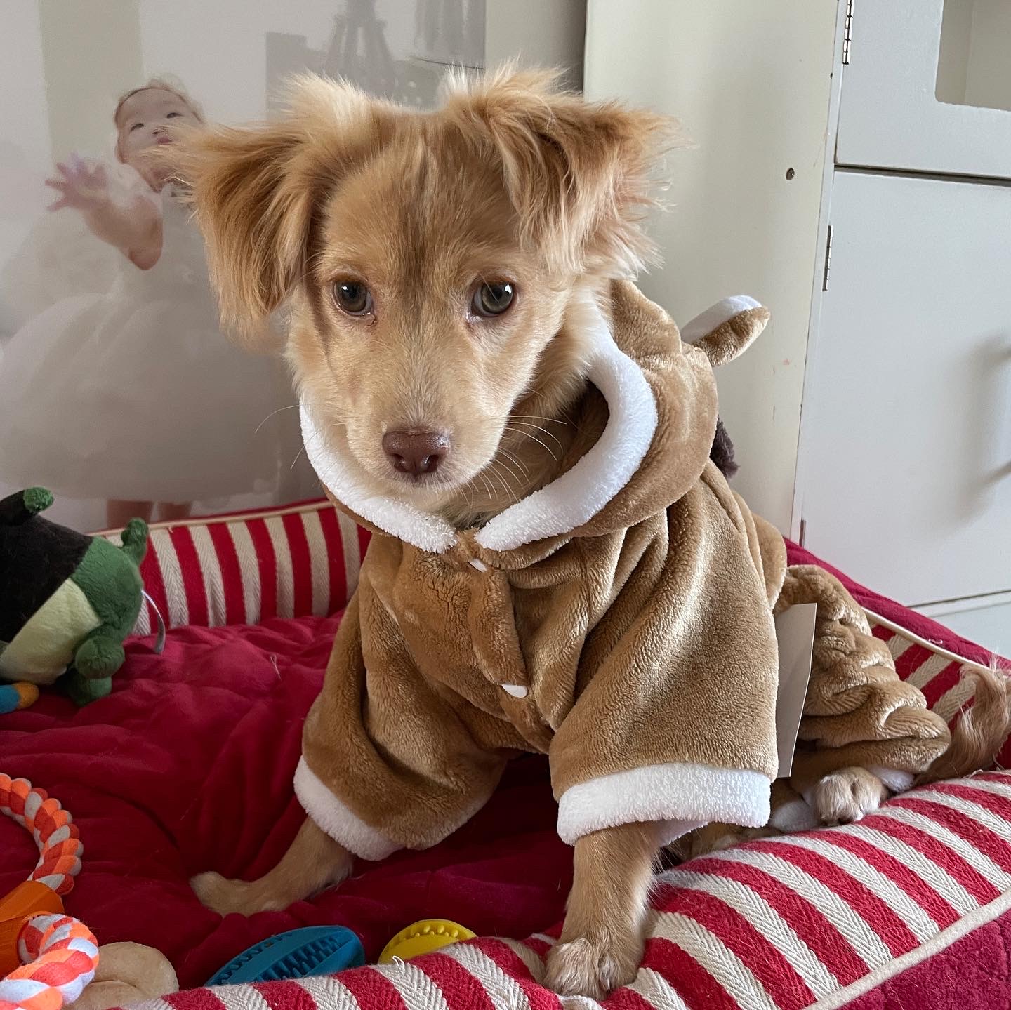 똥꼬발랄 세리 잘 지내용