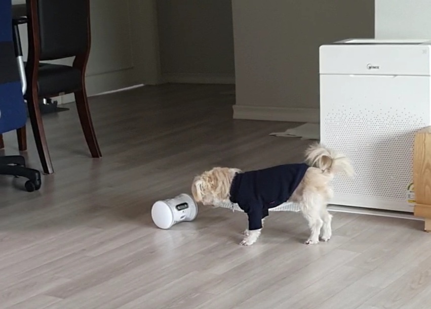 산쵸(오유) 잘 지내고 있습니다~!