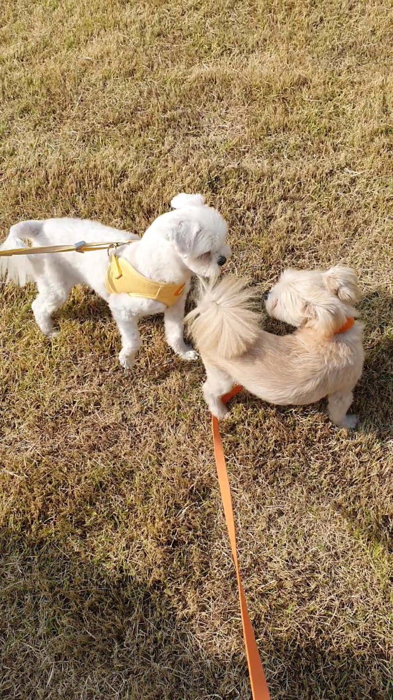 산쵸(오유) 잘 지내고 있습니다~!