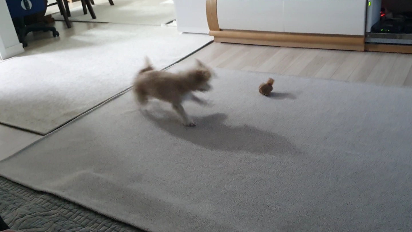 산쵸(오유) 잘 지내고 있습니다~!