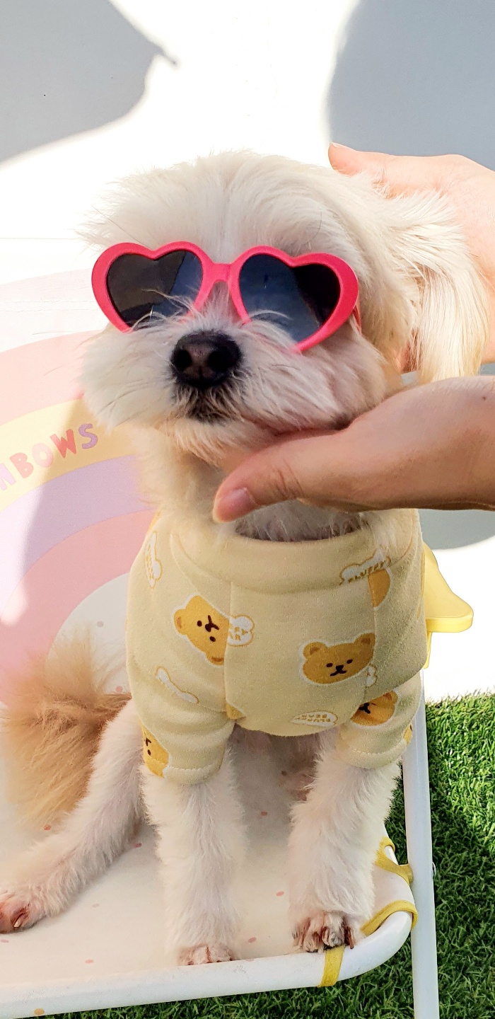 산쵸(오유) 잘 지내고 있습니다~!