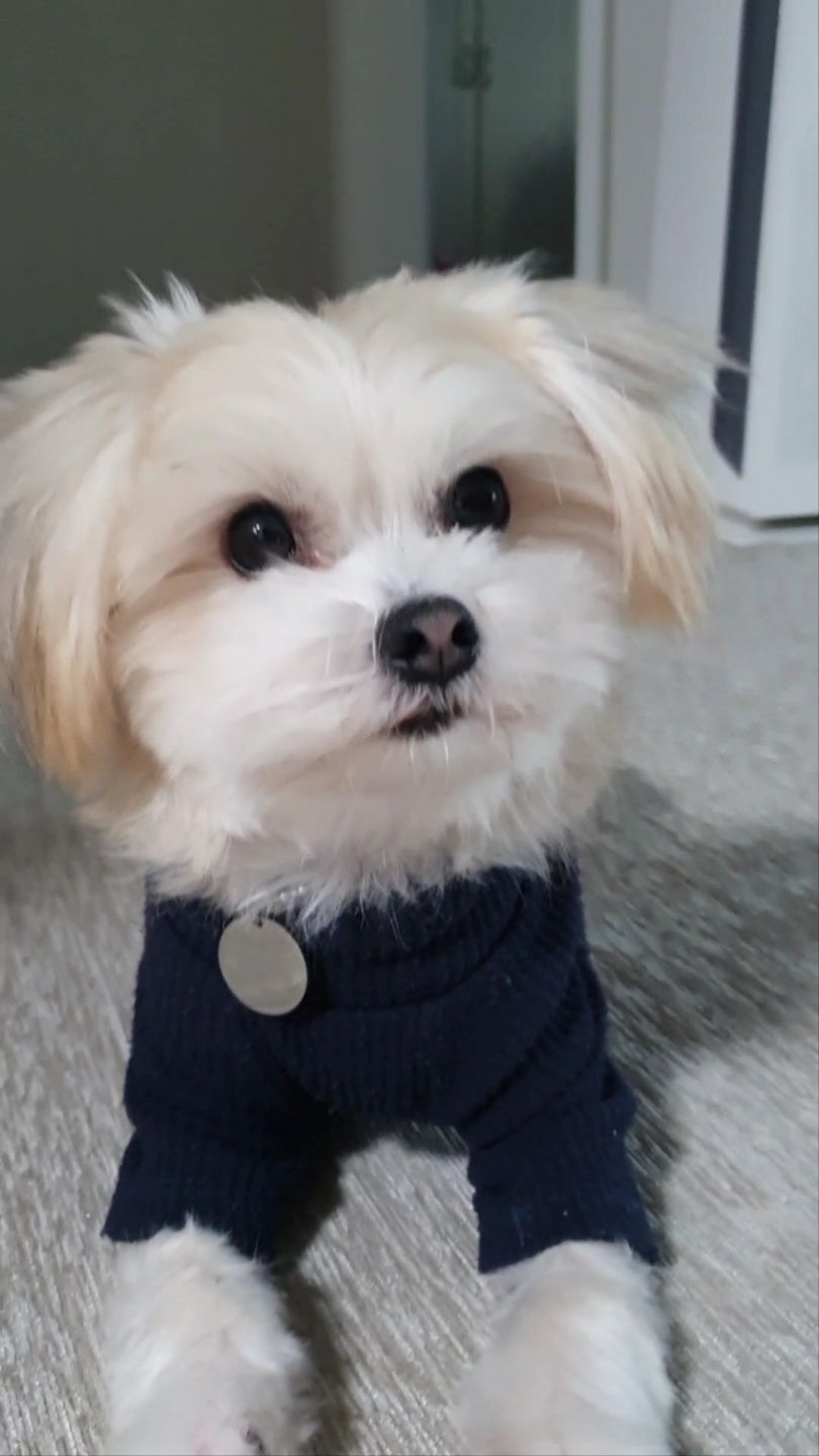 산쵸(오유) 잘 지내고 있습니다~!