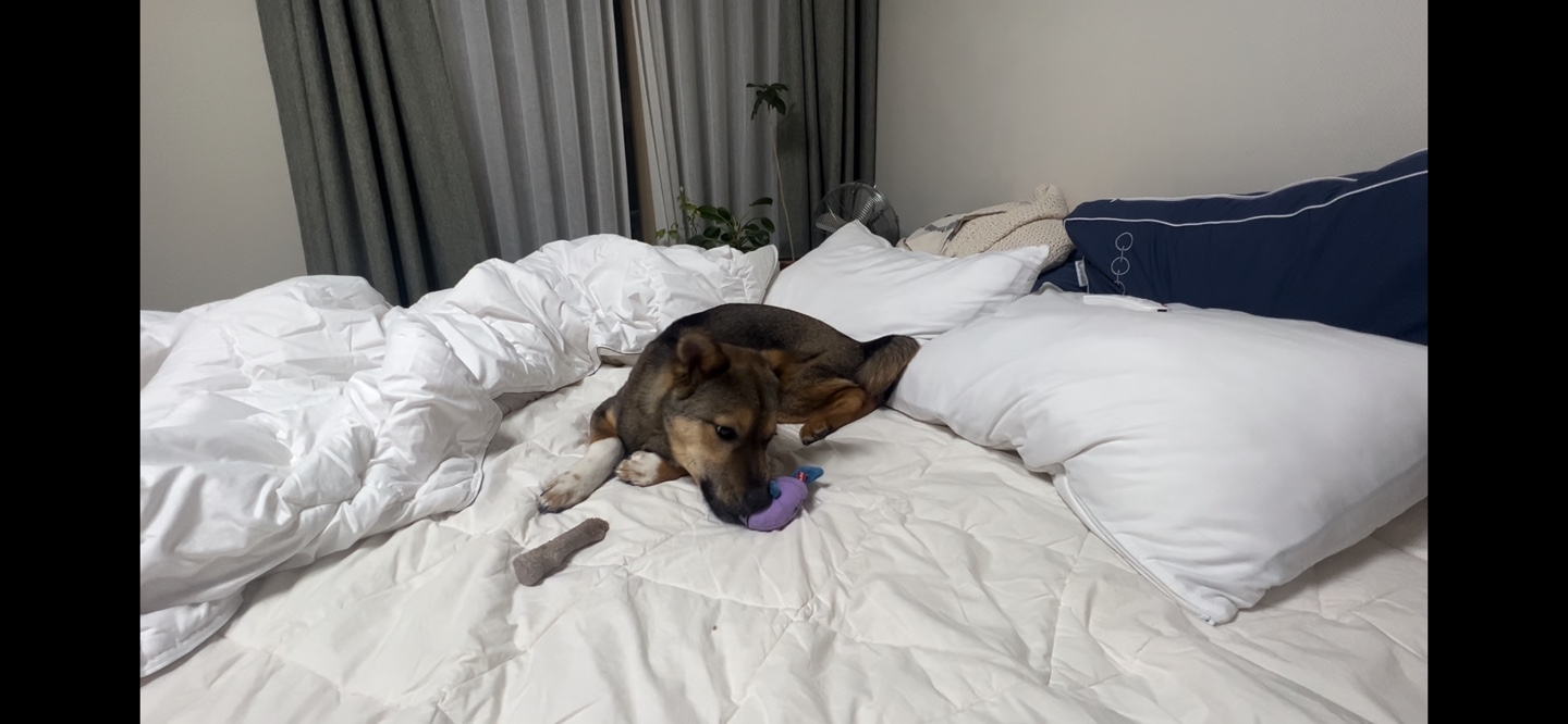 (구, 강식) 테오의 한달 적응 일기