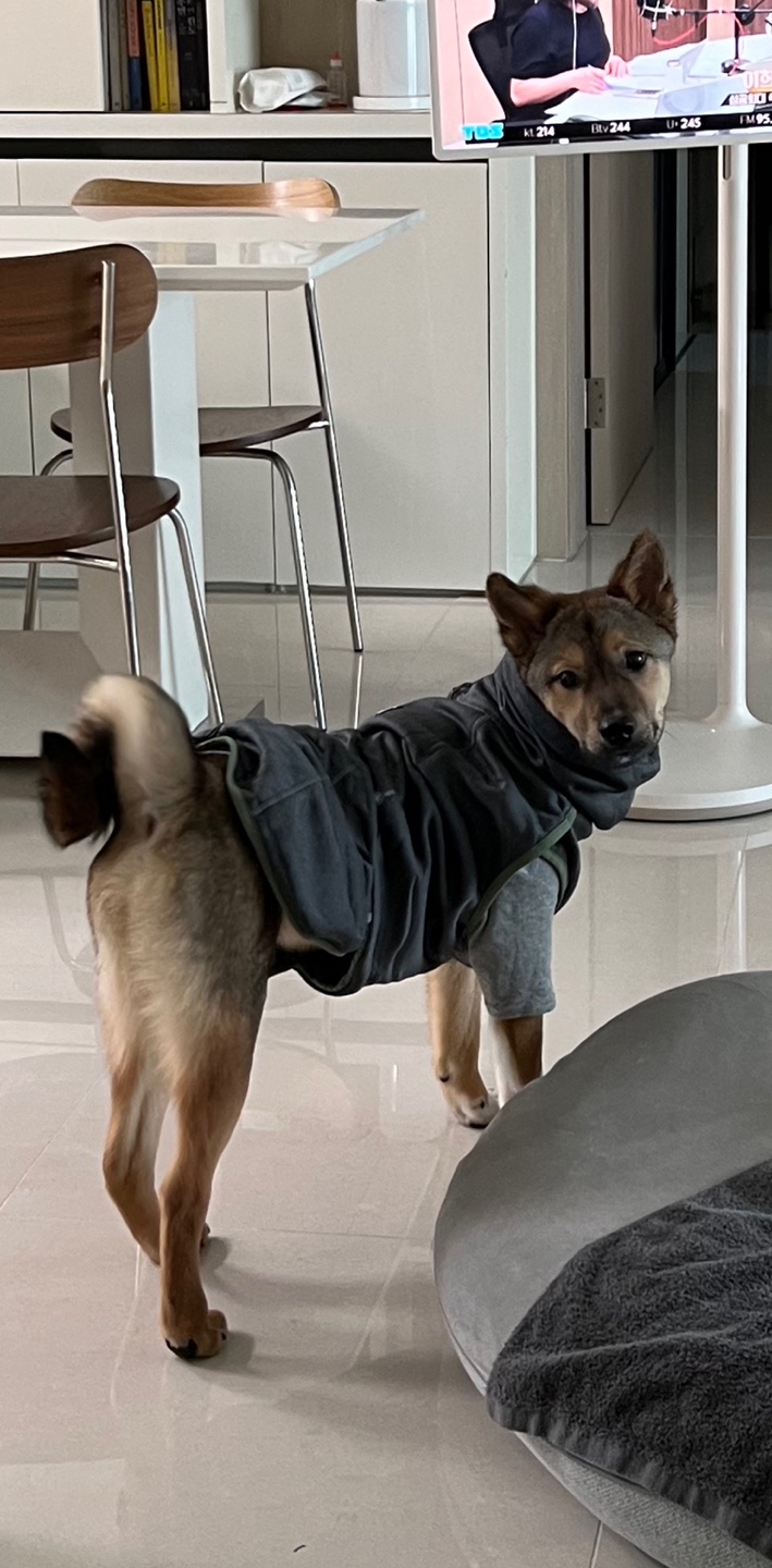 (구, 강식) 테오의 한달 적응 일기