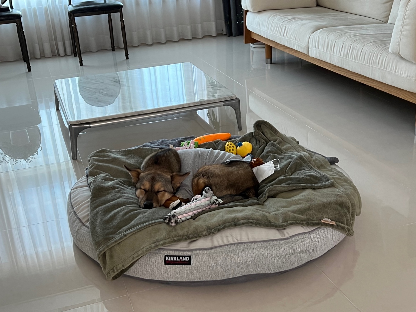 (구, 강식) 테오의 한달 적응 일기