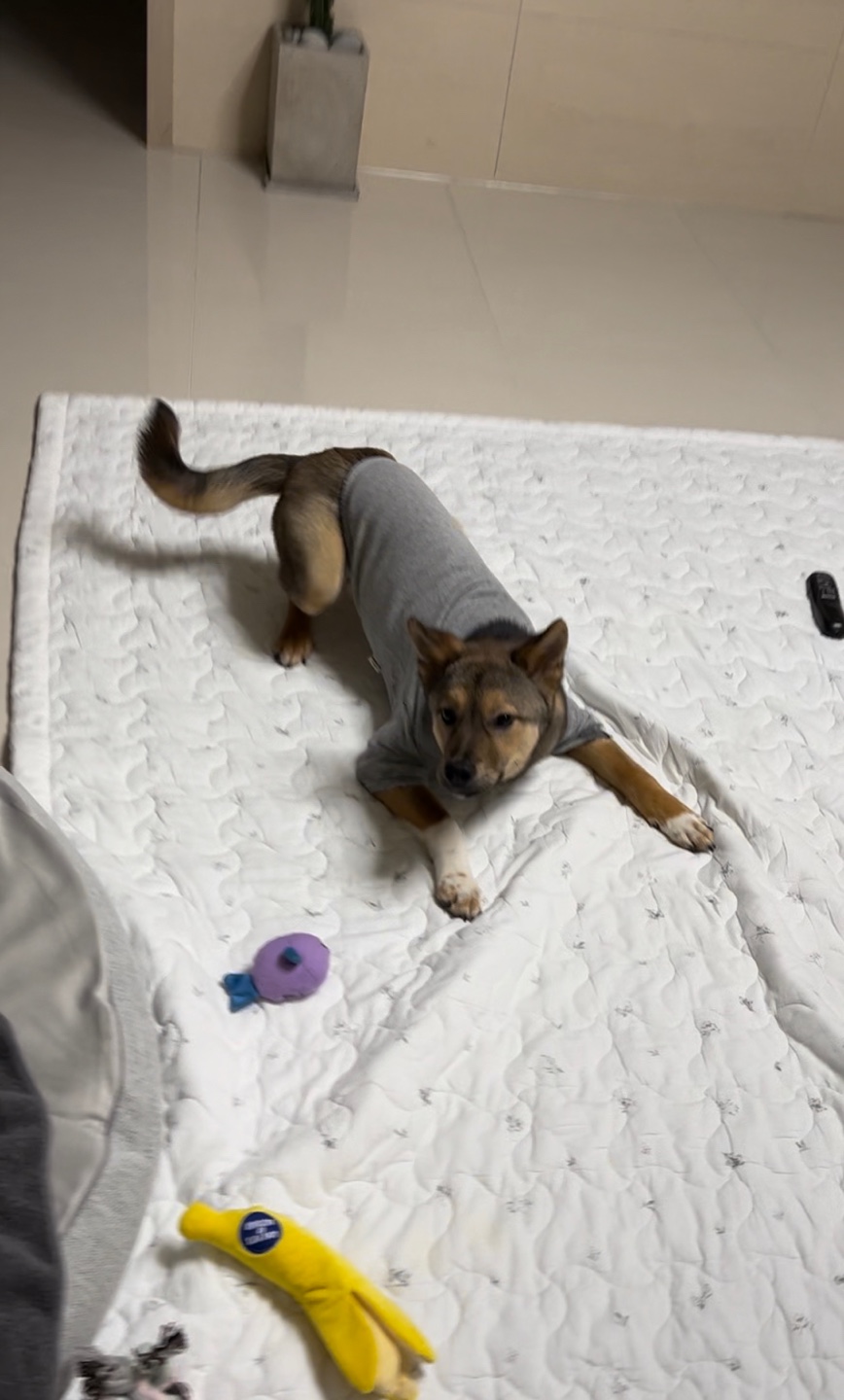 (구, 강식) 테오의 한달 적응 일기