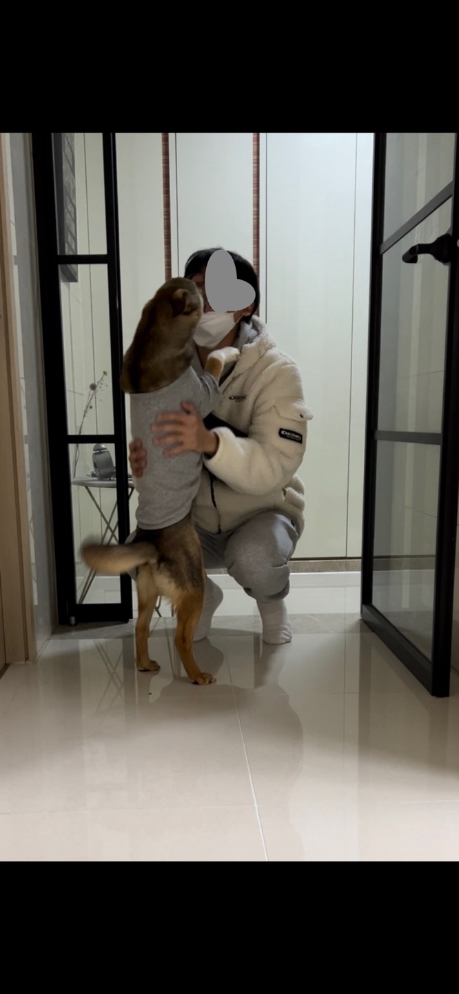 (구, 강식) 테오의 한달 적응 일기