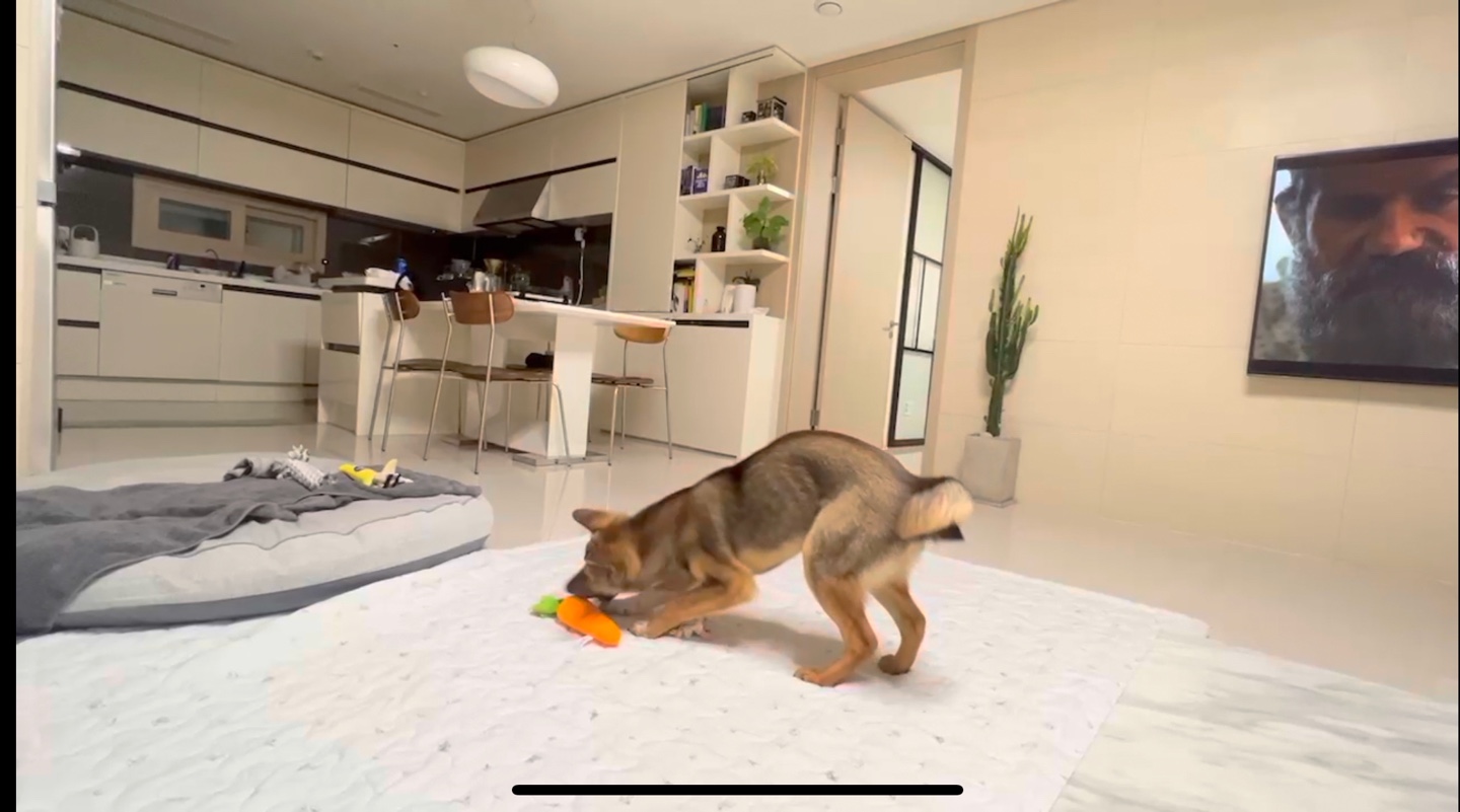 (구, 강식) 테오의 한달 적응 일기