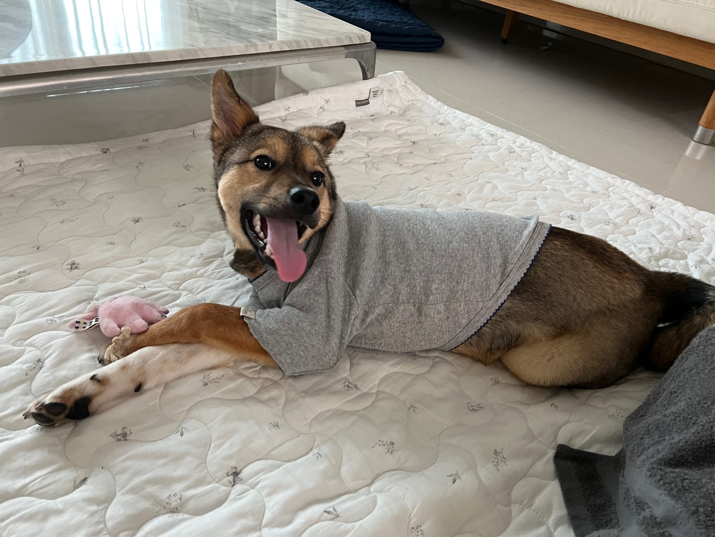 (구, 강식) 테오의 한달 적응 일기