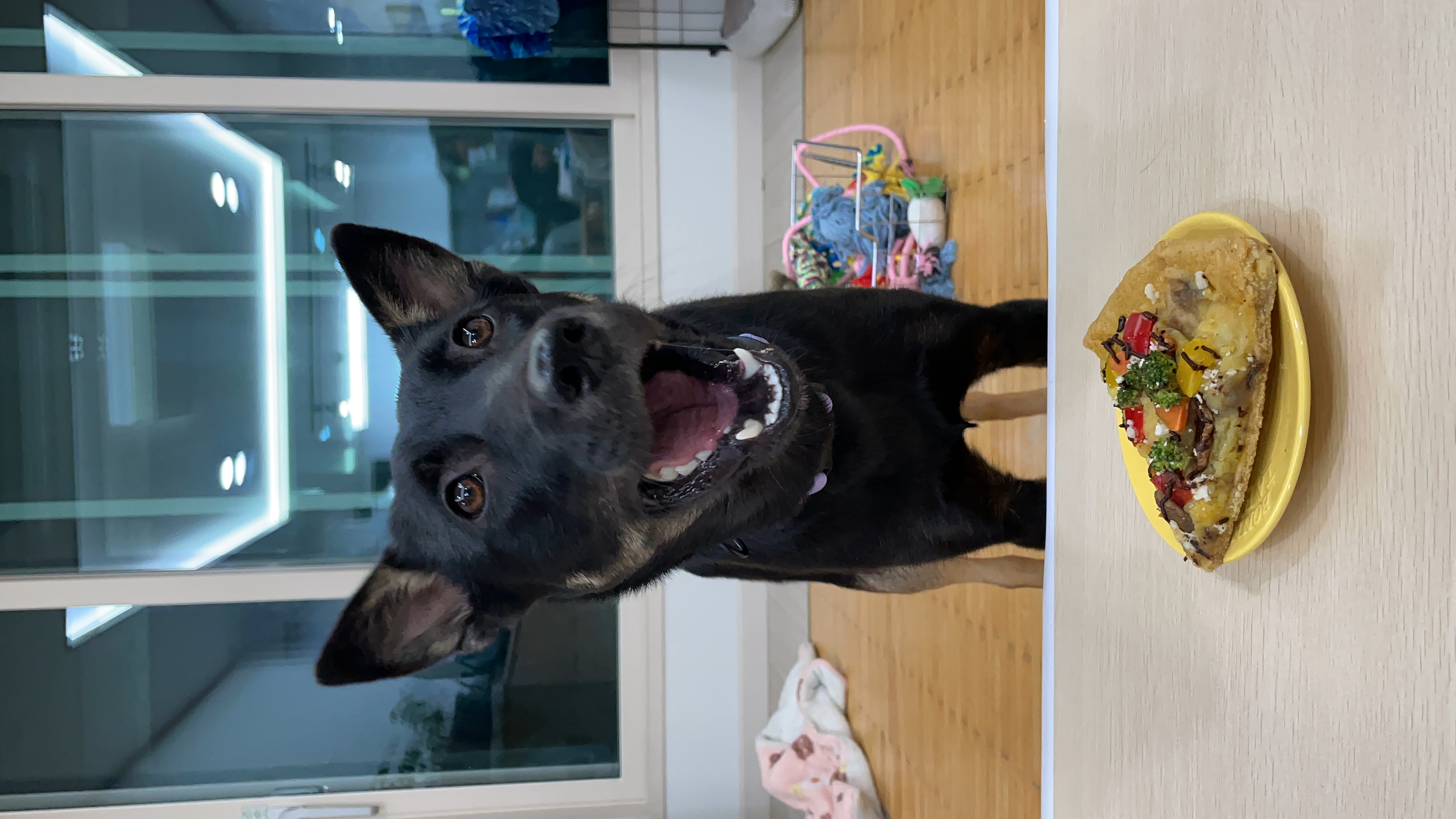 고미가 된 곰곰 일년후