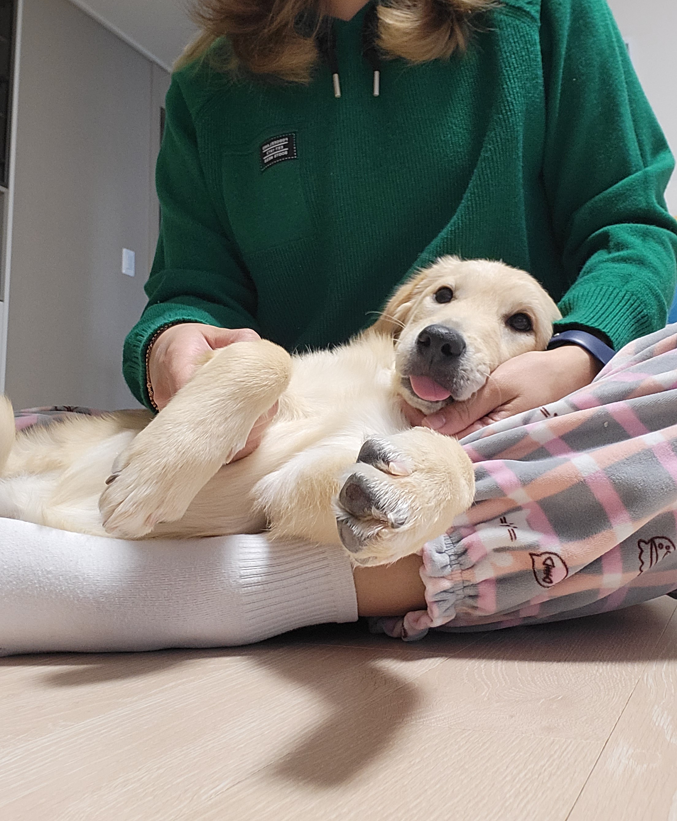 당근이 (삼온이) 일주일후기 