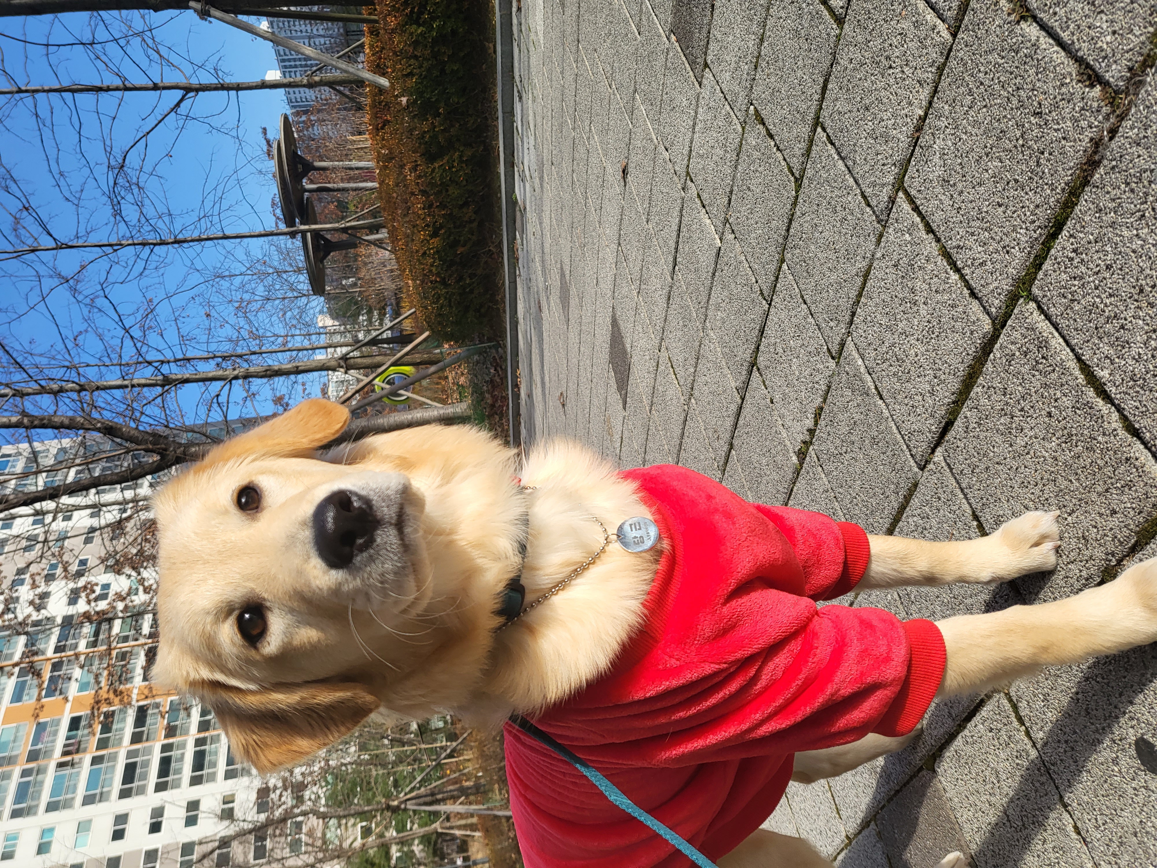 당근이 (삼온이) 일주일후기 