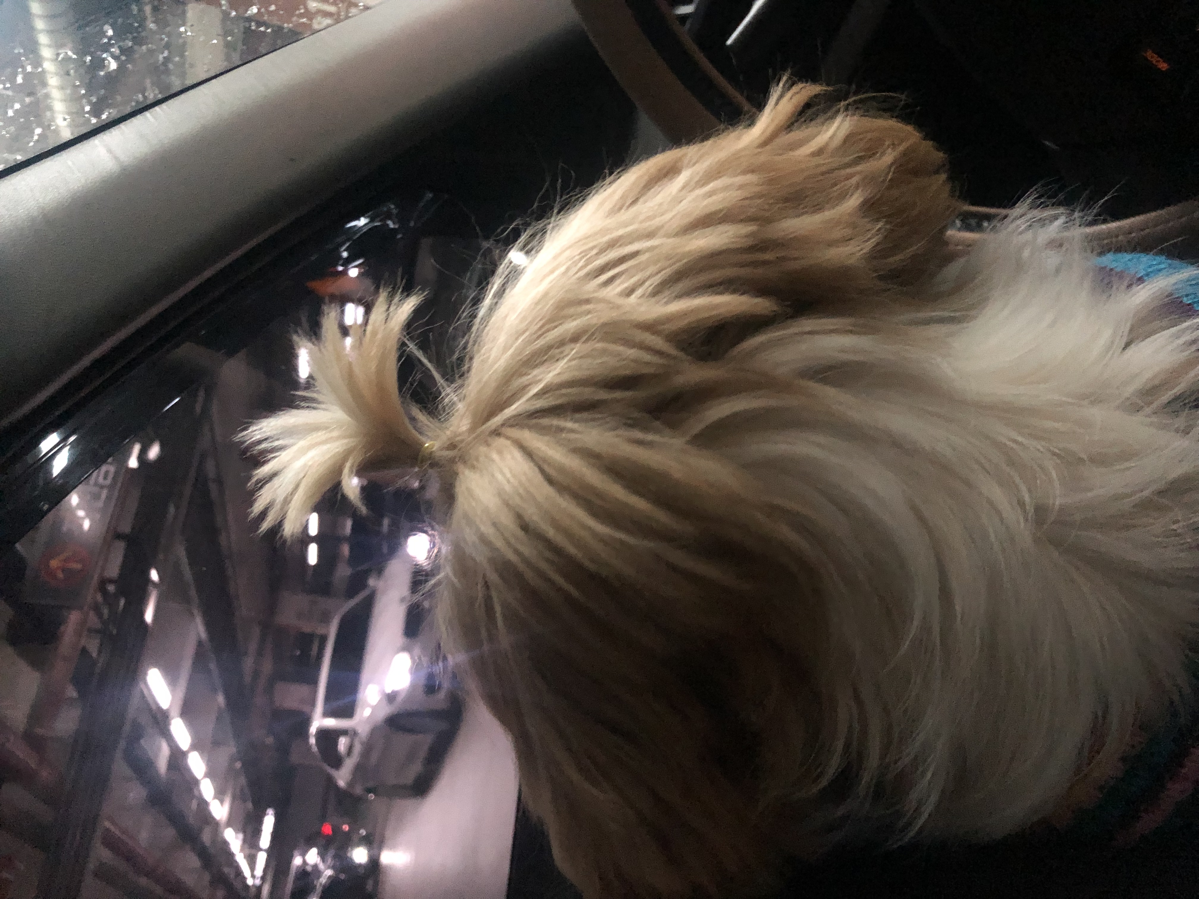 10개월째 사랑 받는 천진이 입니다:D