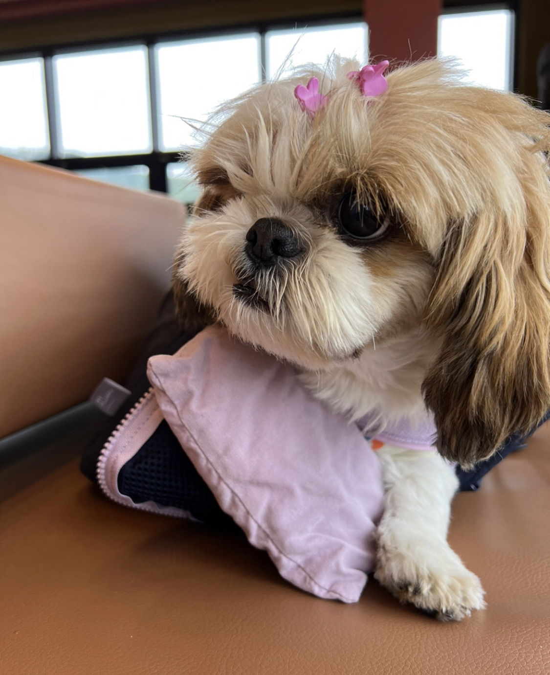 10개월째 사랑 받는 천진이 입니다:D