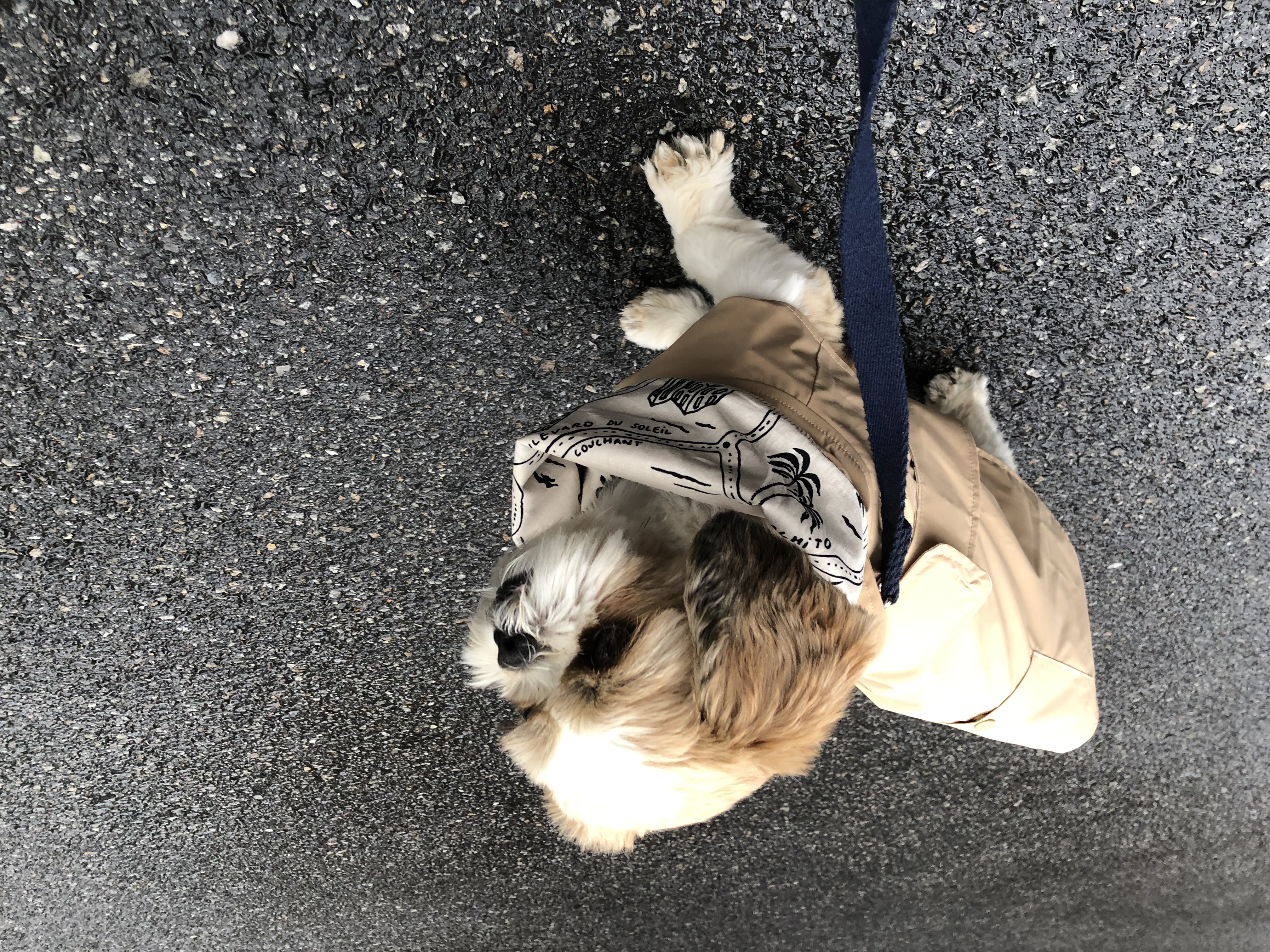 10개월째 사랑 받는 천진이 입니다:D